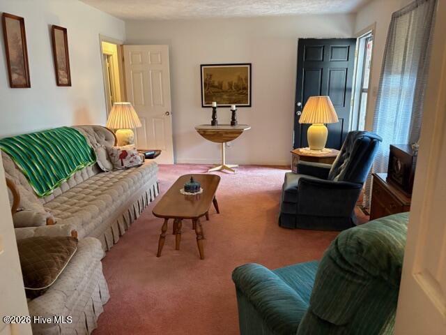 Homes for sale in Southern Pines, NC | 185 Bronwyn St, Southern Pines, NC 28387 | MLS# 100560431