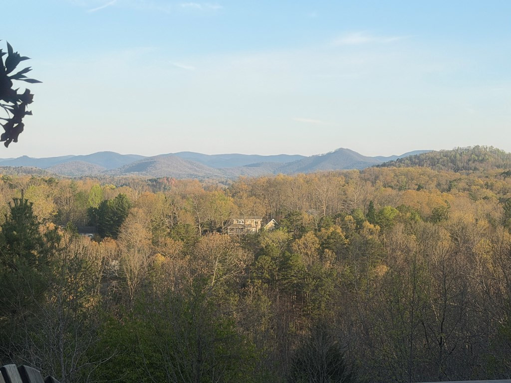 745 Buck Ridge Drive, Murphy, NC 28906 Listing Photo  41