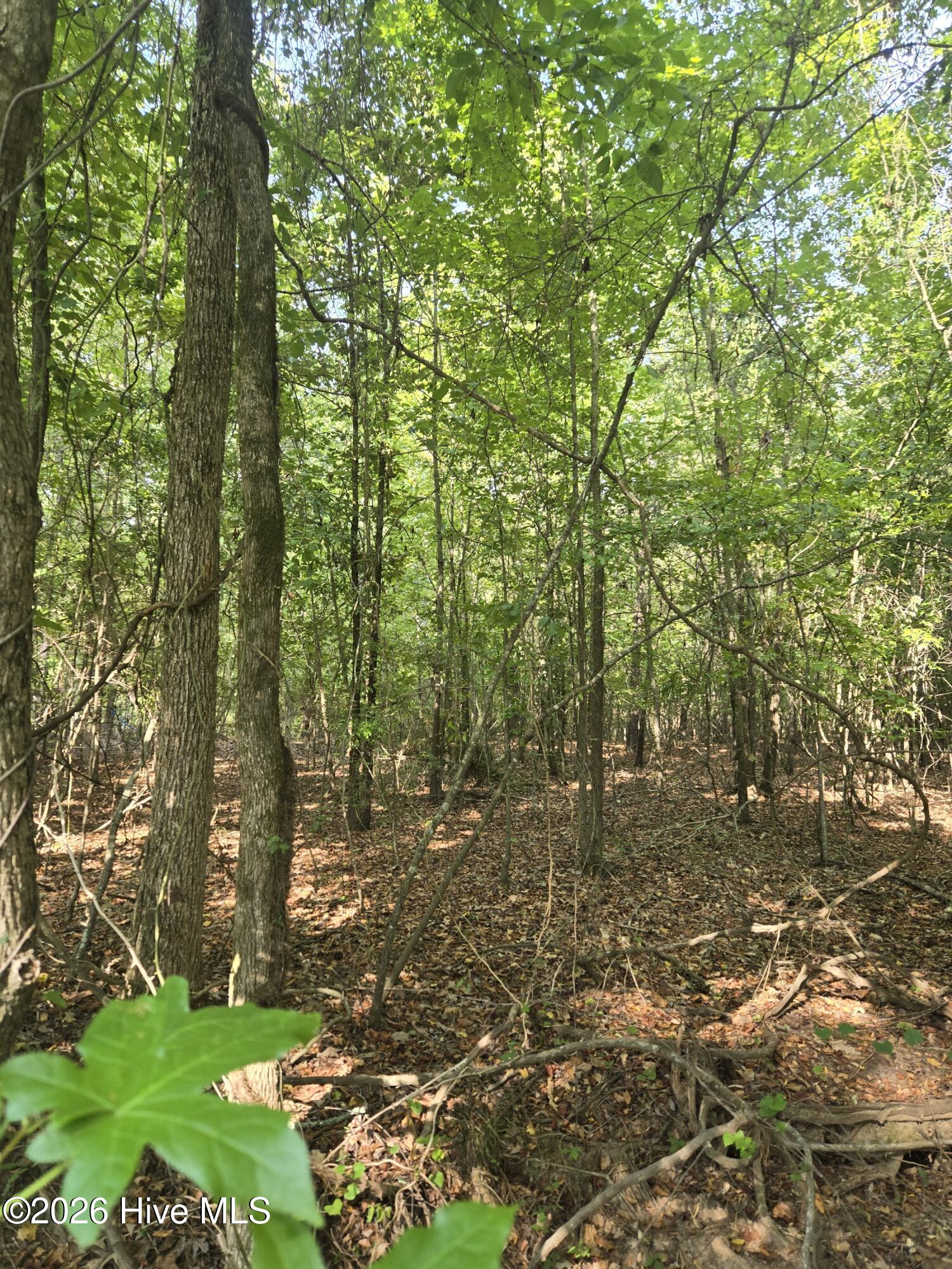 5th image of 0 Deer Run Ct, Lincolnton, GA 30817 | MLS# 100598162