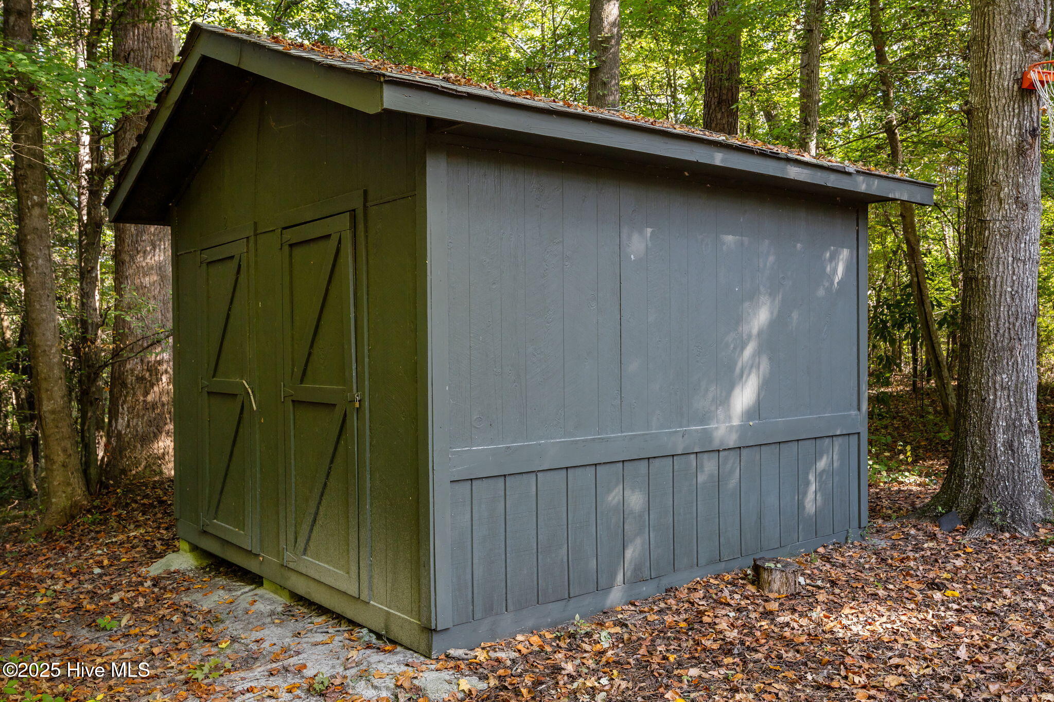 100555564 | Photo 15