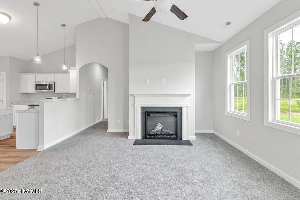 100541742 | Photo 16