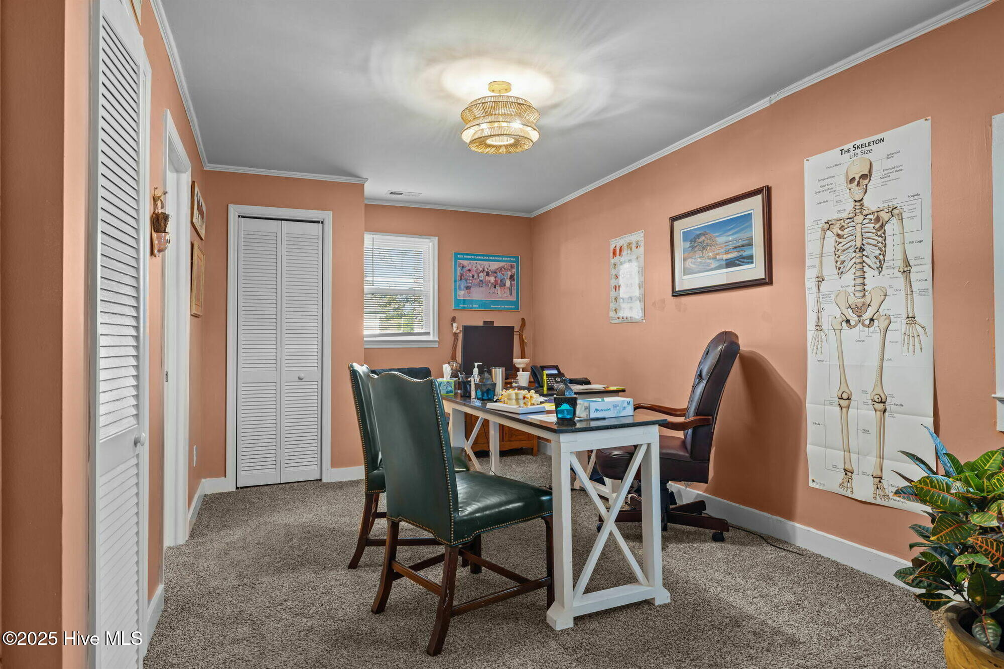 28-web-or-mls-1S3A8083