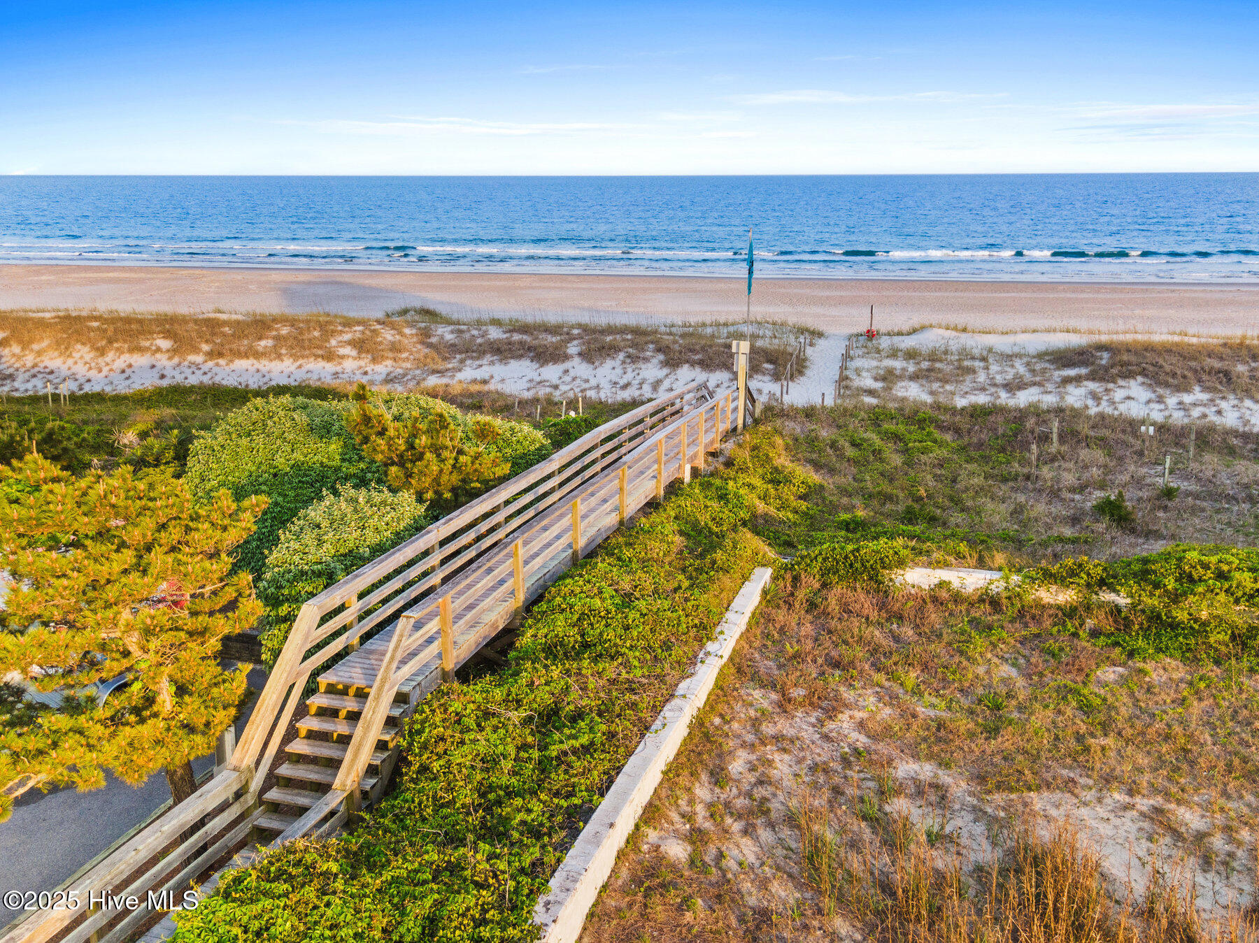 100503545 | Photo 16