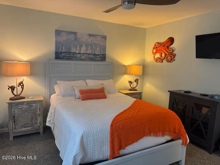 100570221 | Photo 13