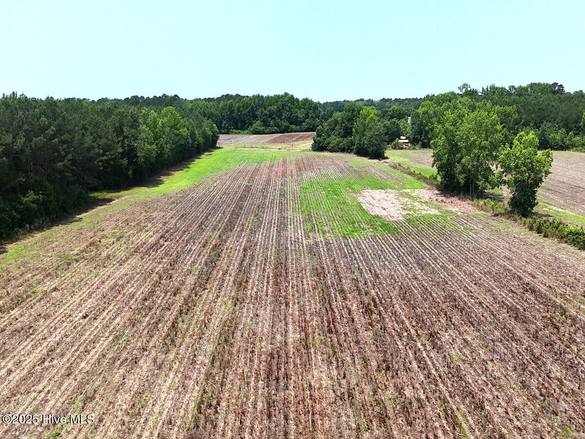 100511936 | Photo 14