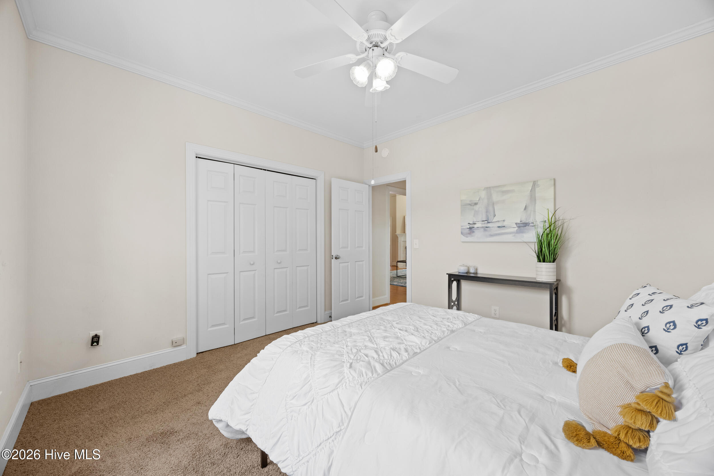 100564143 | Photo 24