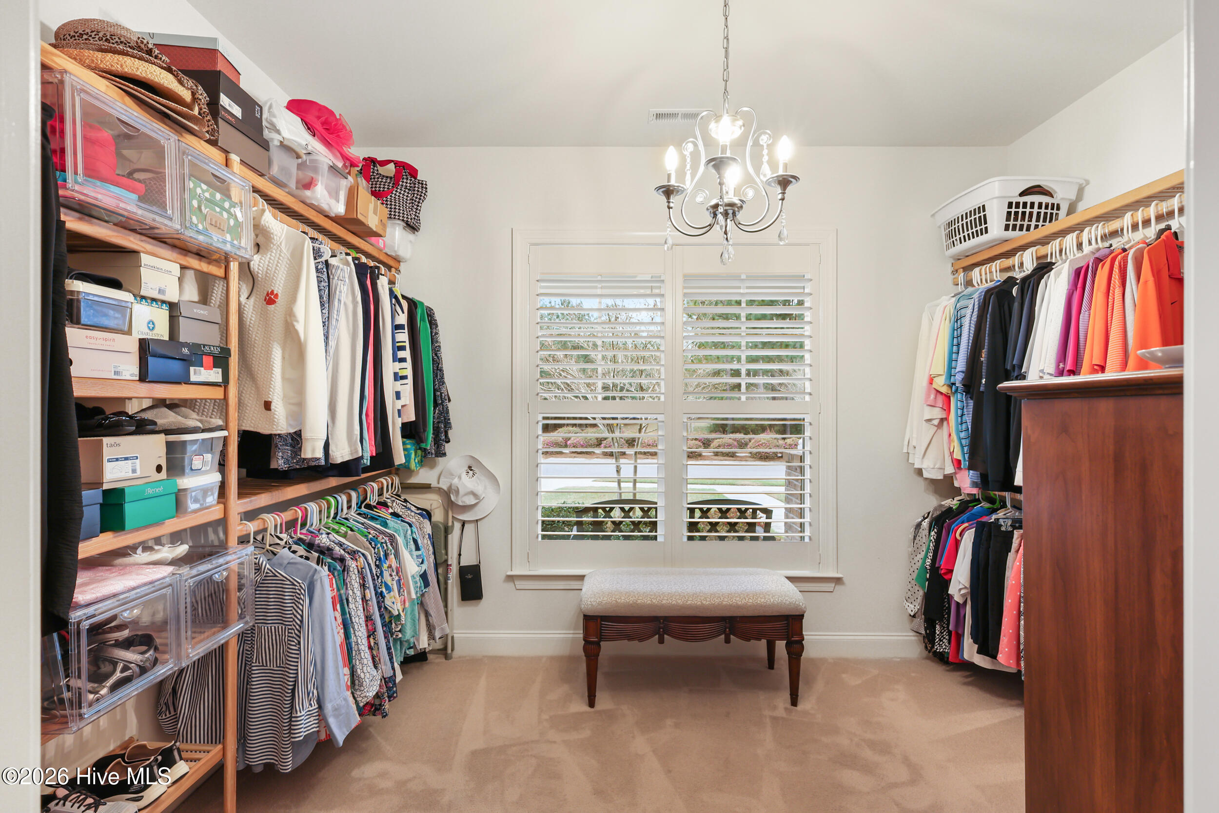 100561173 | Photo 34