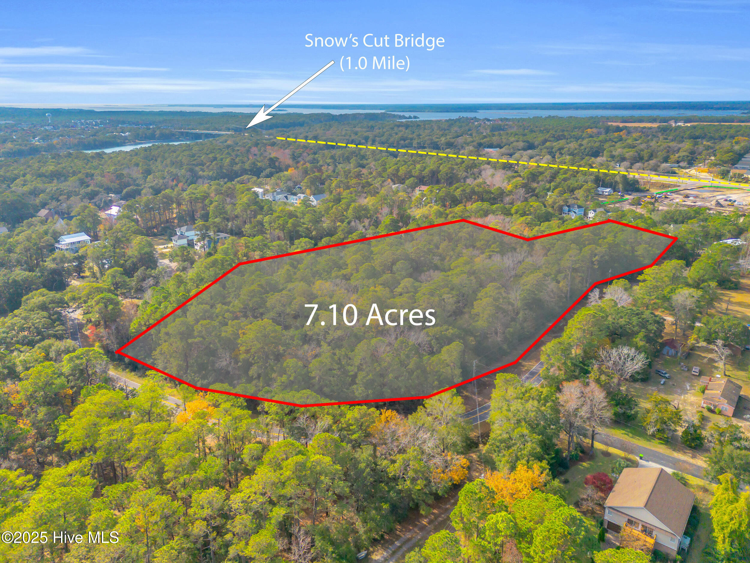 100547403 | Photo 13