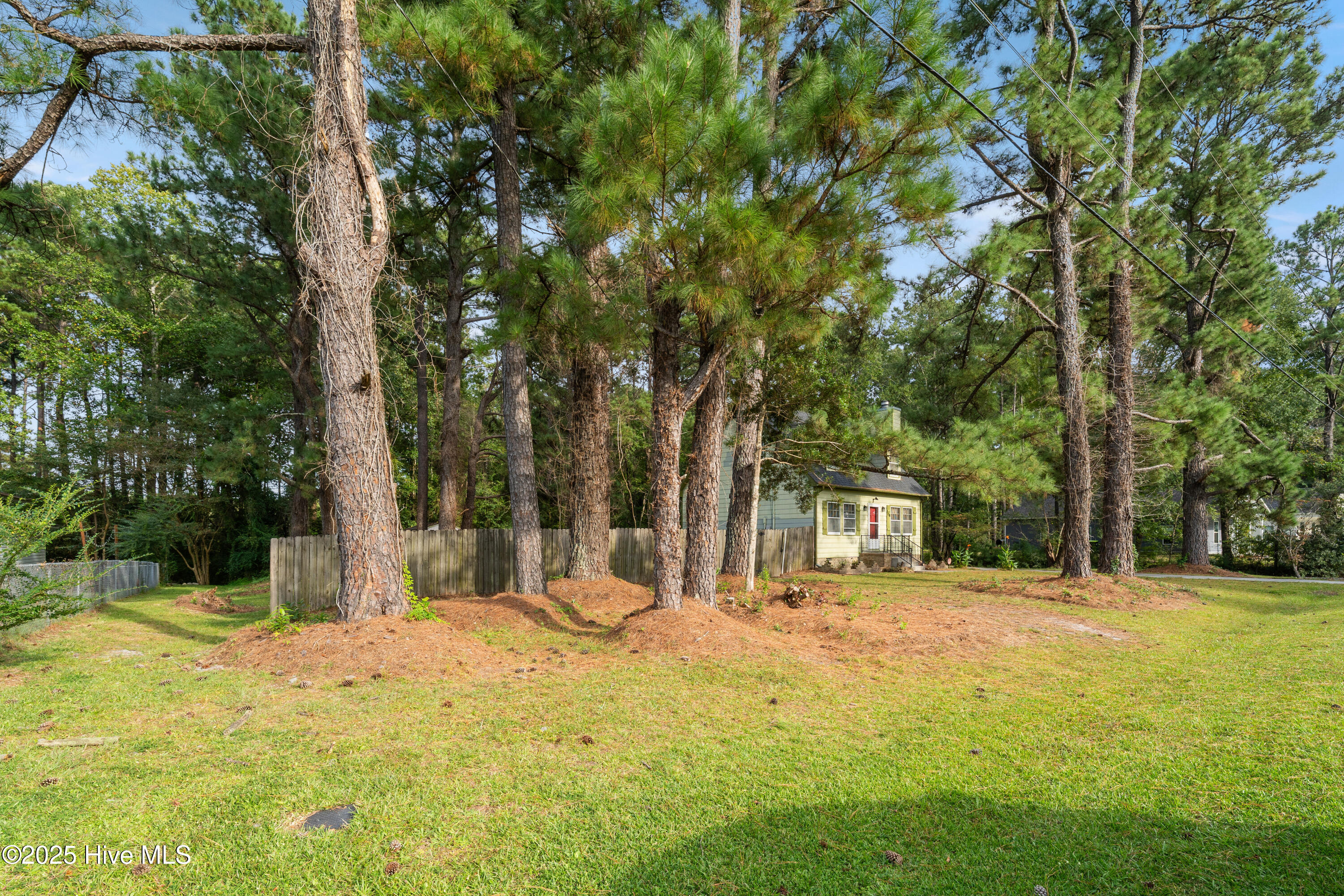 118 Deerfield Road, Castle Hayne, NC 28429 – photo 7: 118DeerfieldRd-3
