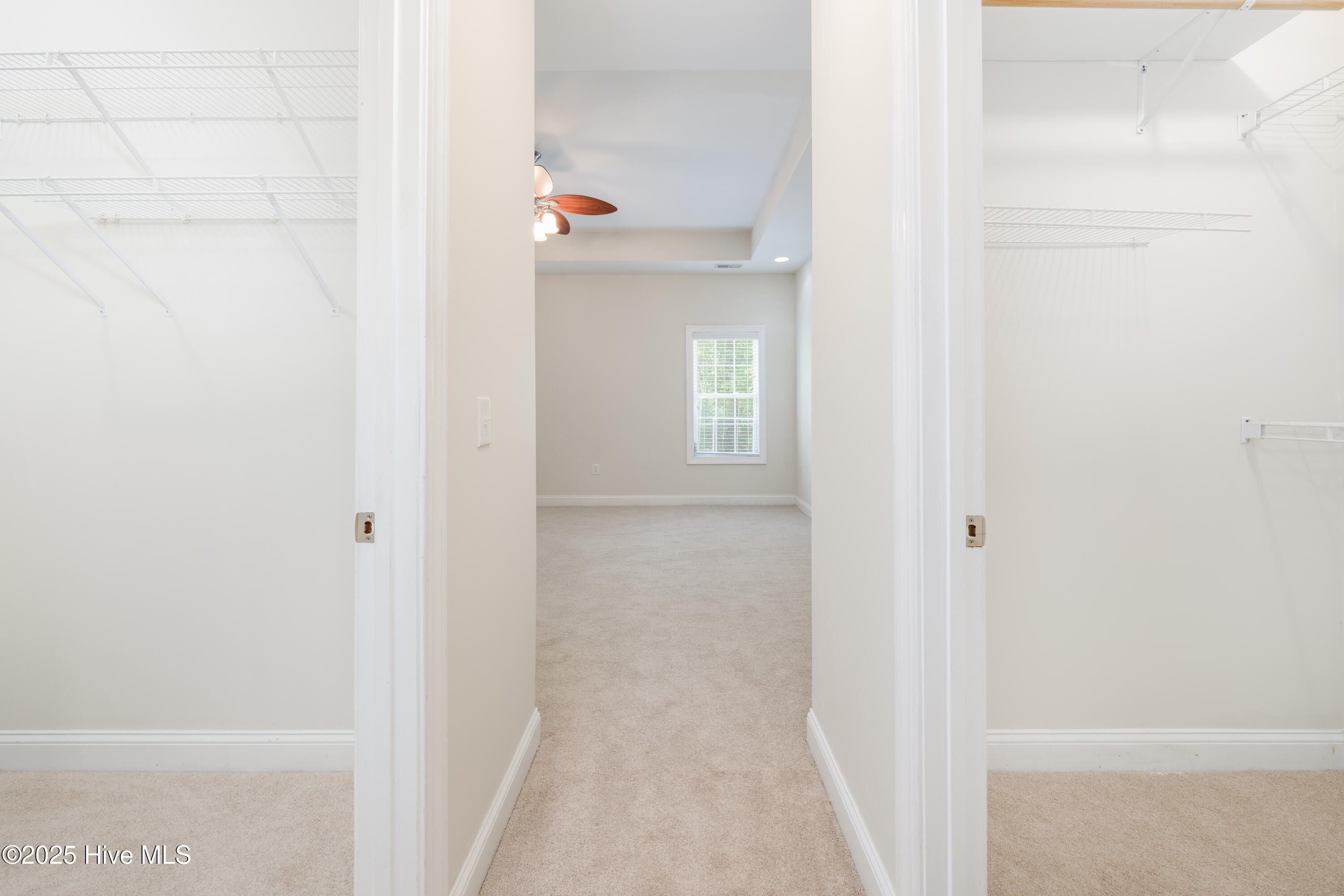 100513882 | Photo 30