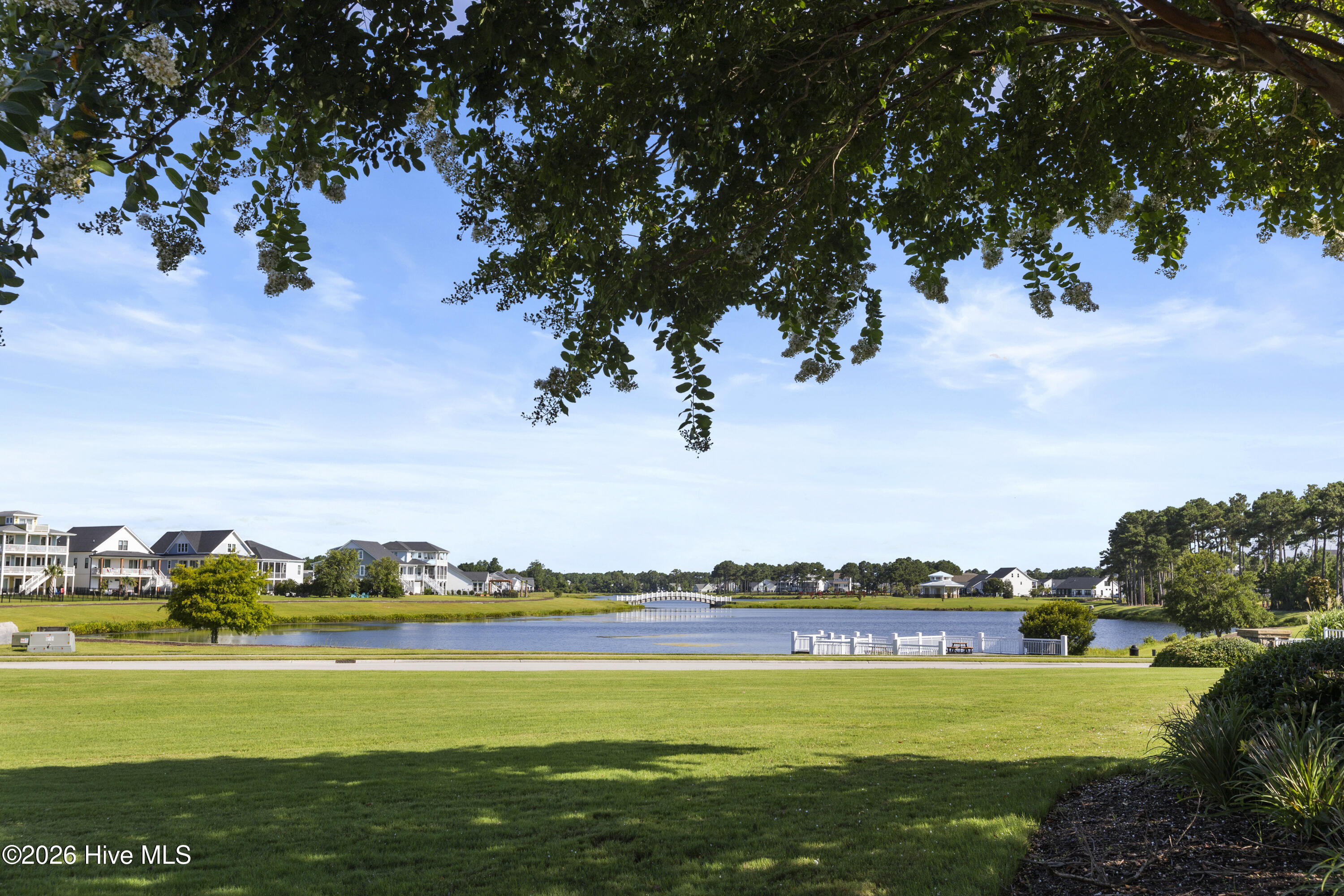 100560315 | Photo 29