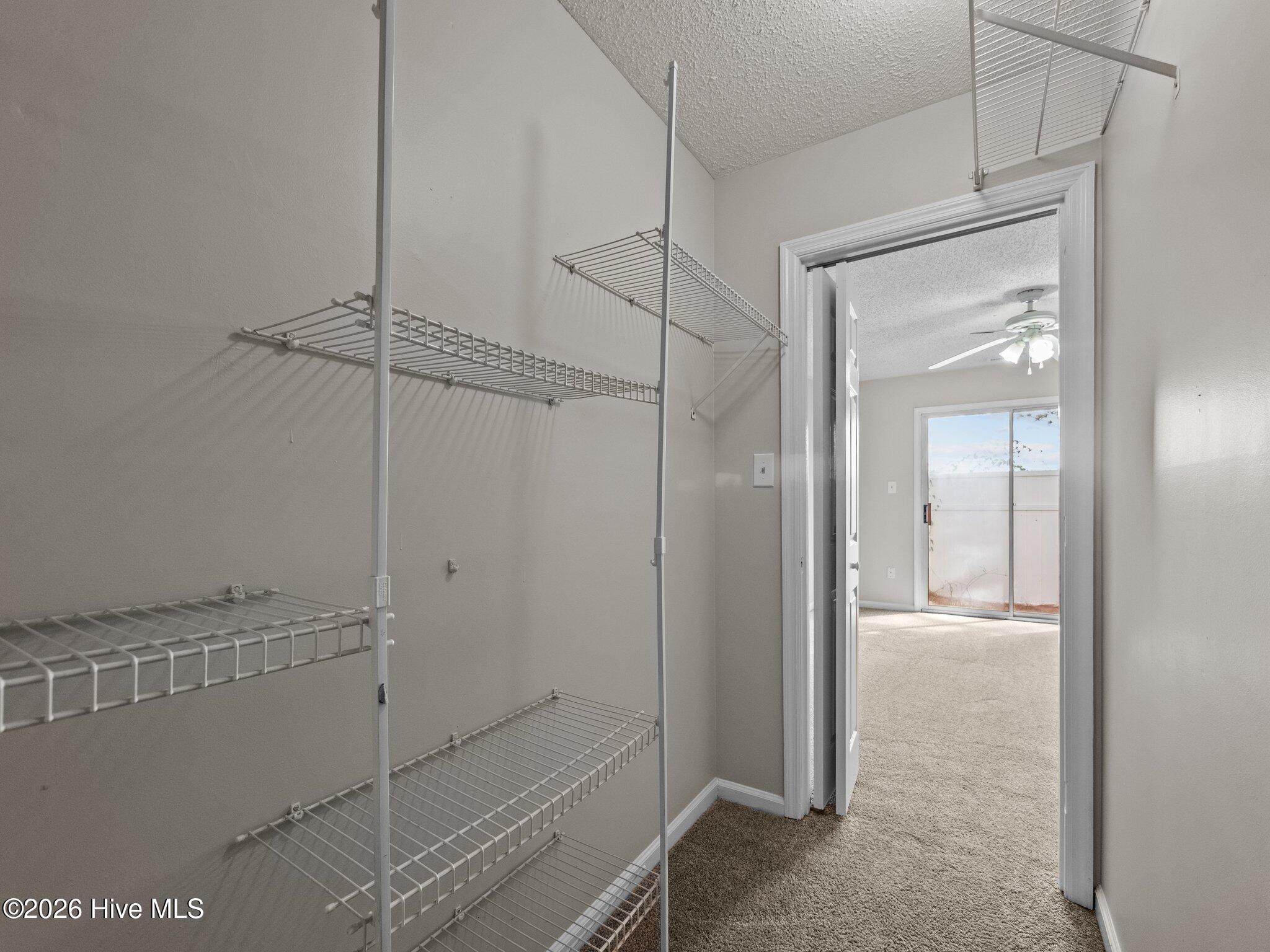 100563808 | Photo 13