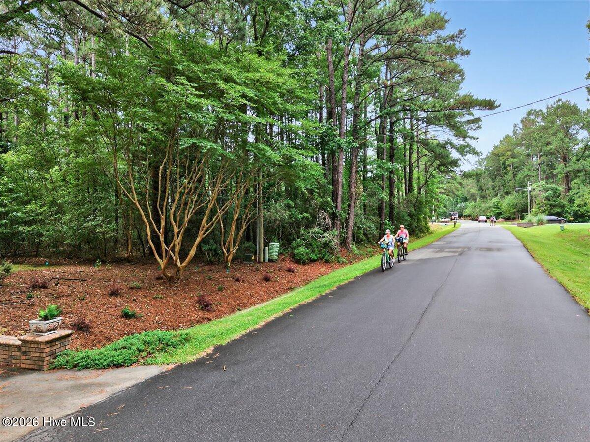 100553650 | Photo 13