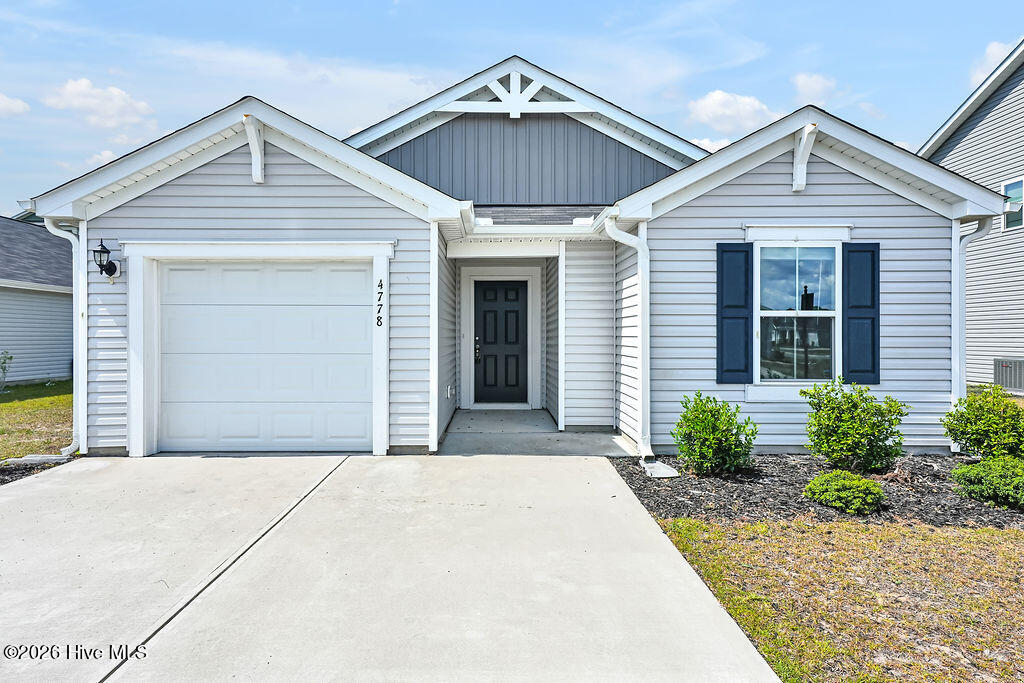Carolina Barrier Islands