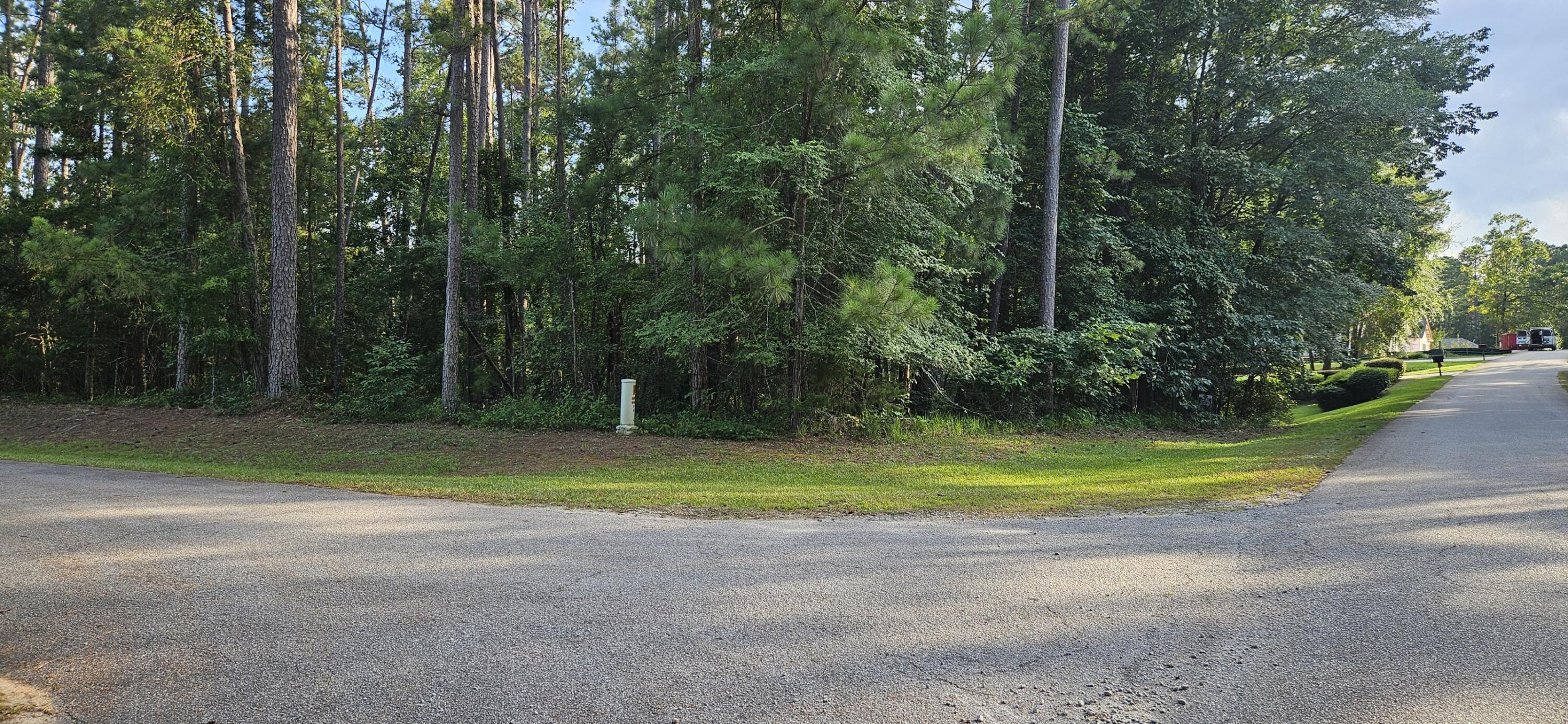 Bl 6 Lot 9 Davis Drive, Mccormick, SC, 29835