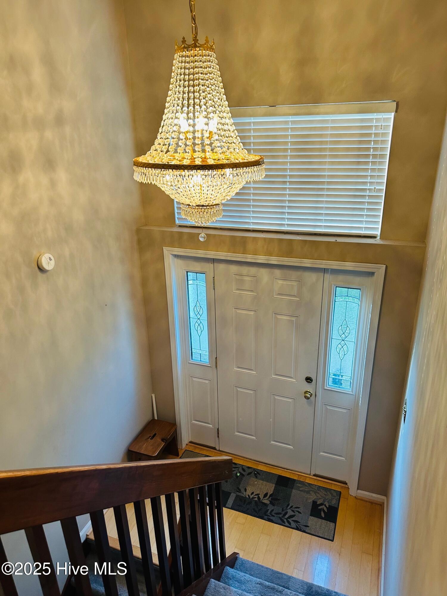 100542135 | Photo 11