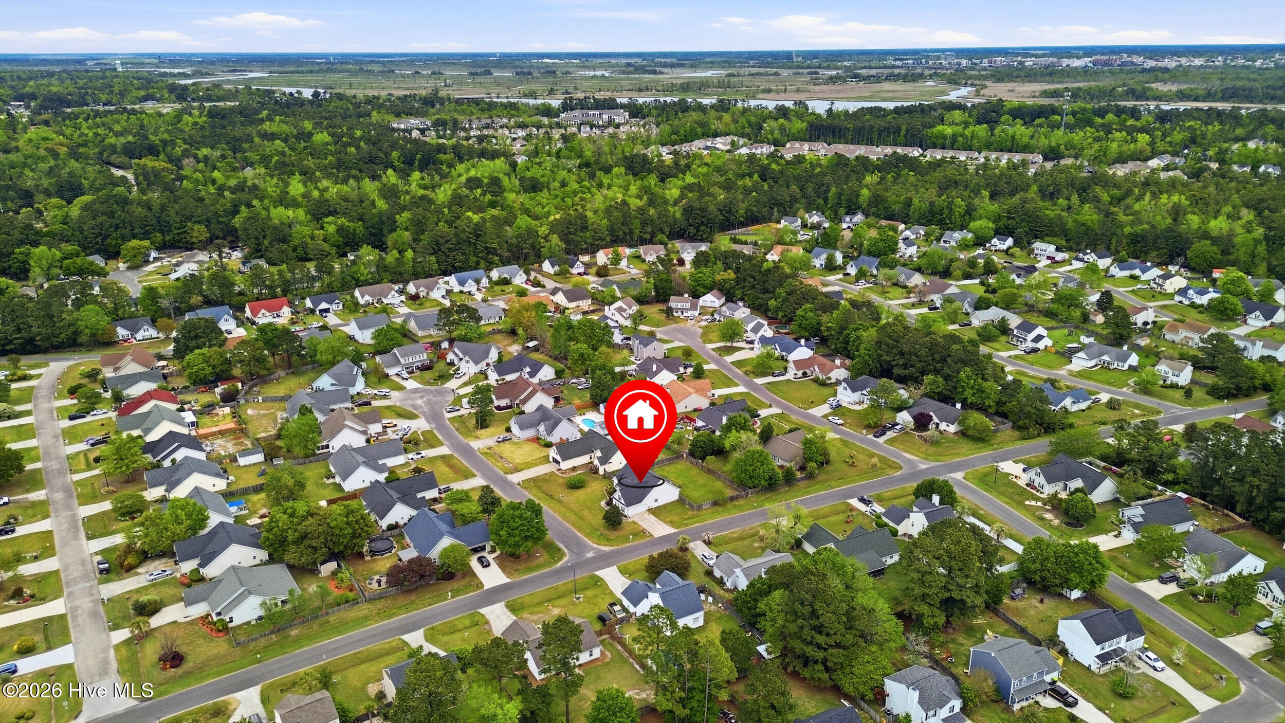 100565195 | Photo 41