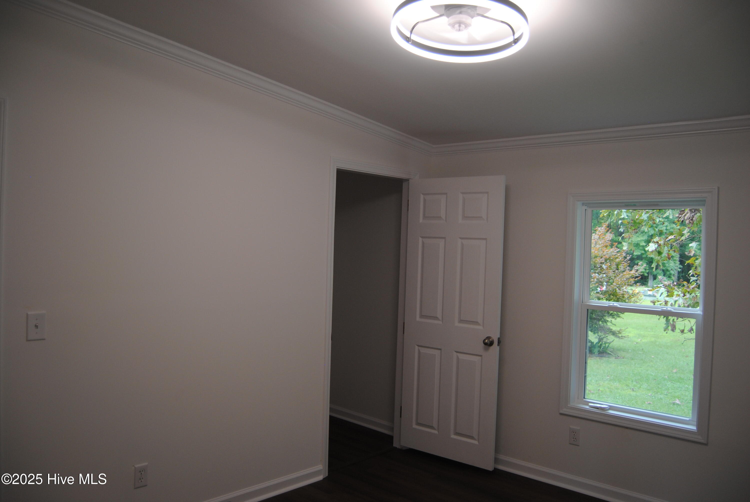 100533223 | Photo 45