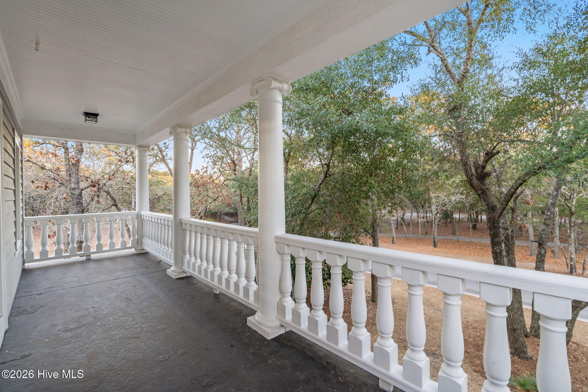 100549864 | Photo 41