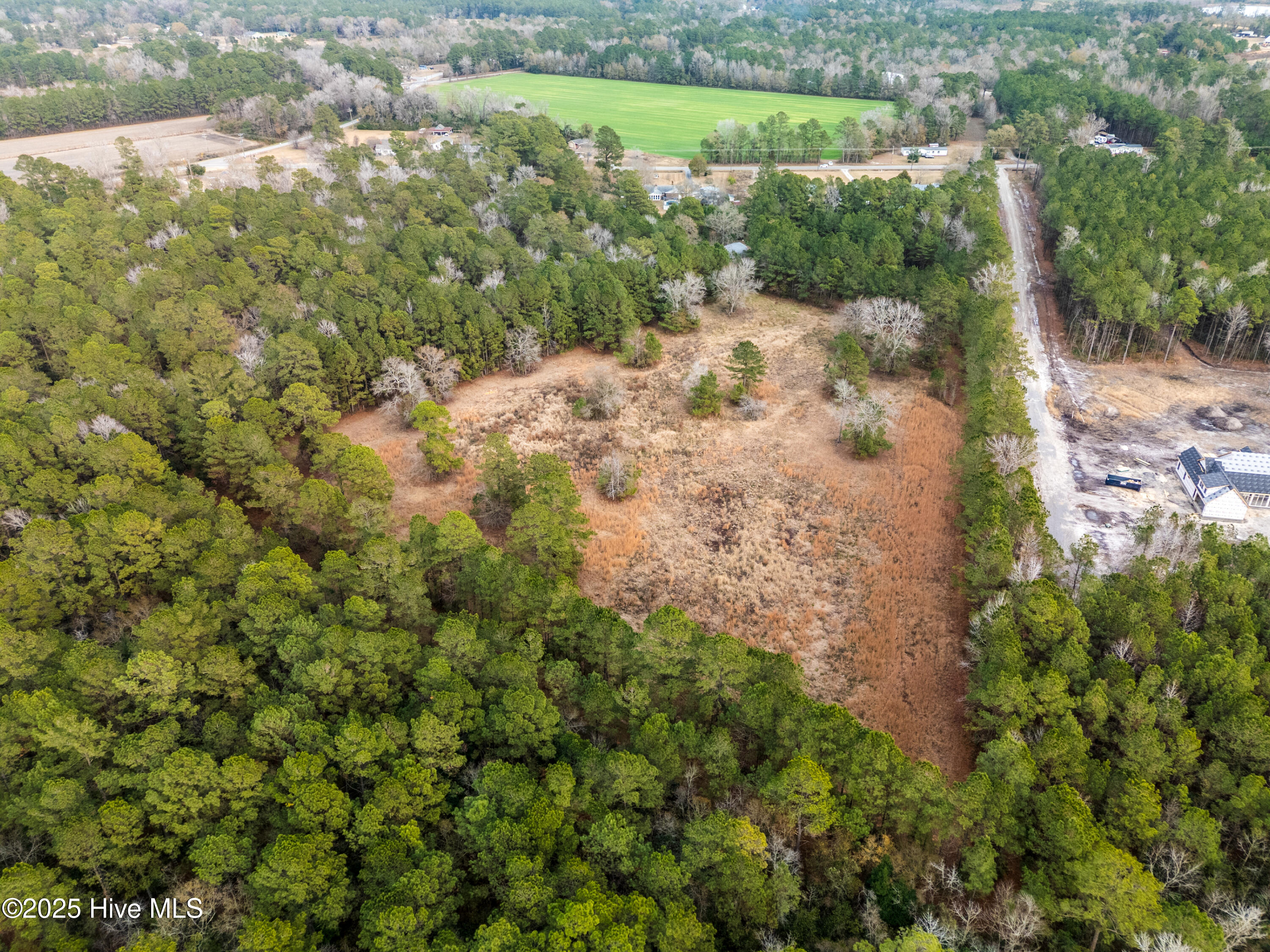 100546785 | Photo 13