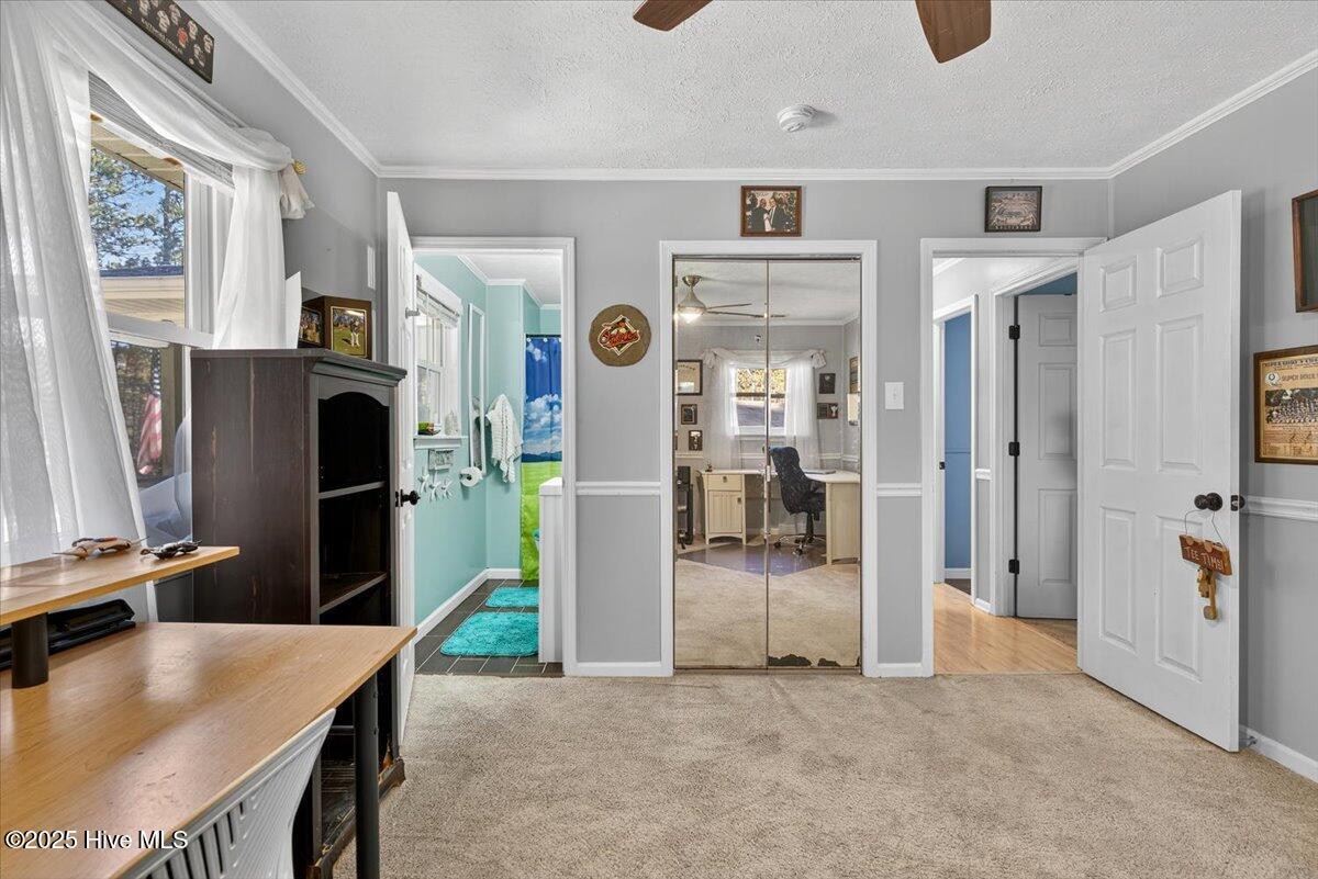 100542492 | Photo 25