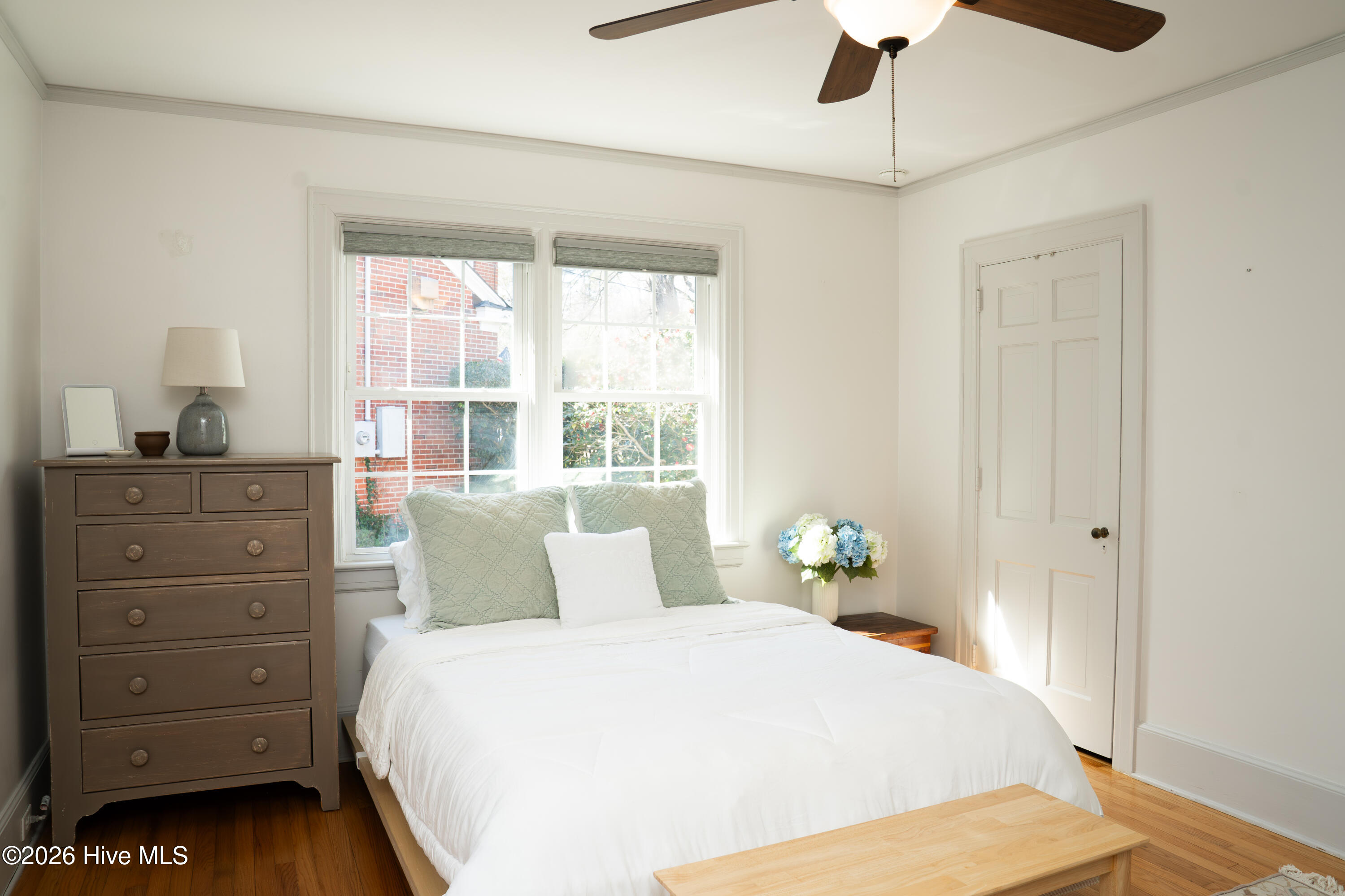 100558476 | Photo 47