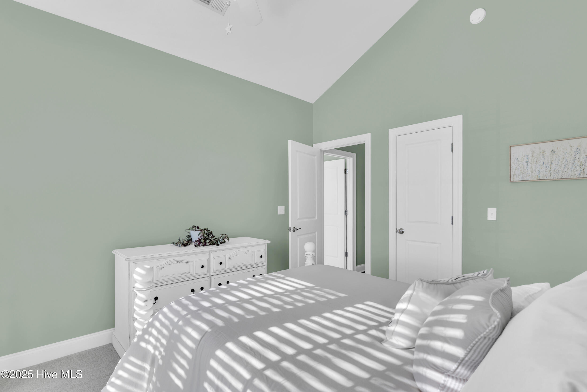 100543526 | Photo 24