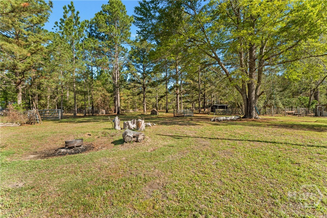 5048 Clyo Kildare Road, Clyo, GA 31303 Listing Photo  58