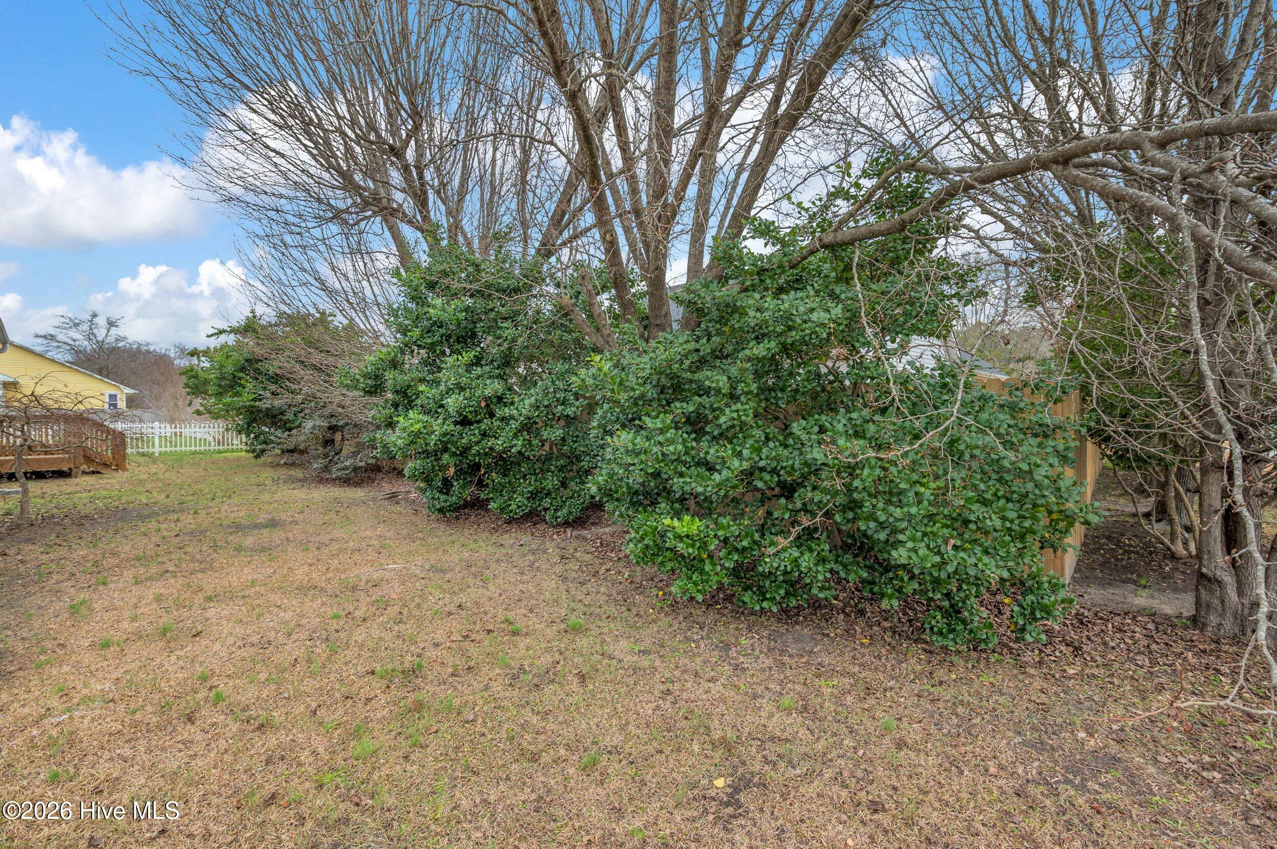 100554292 | Photo 35