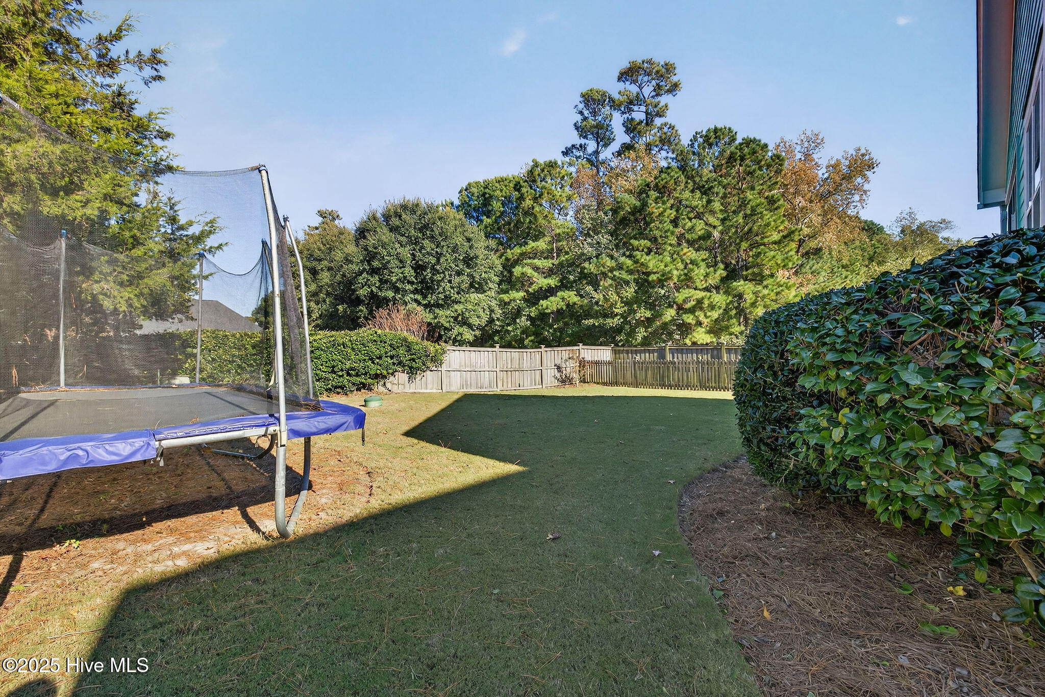 100540017 | Photo 21