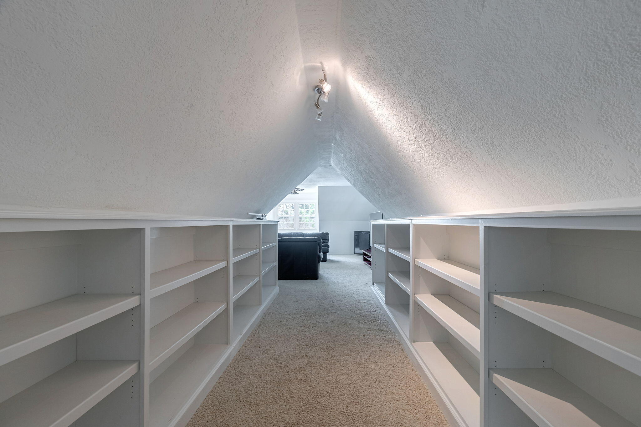 48-web-or-mls-47