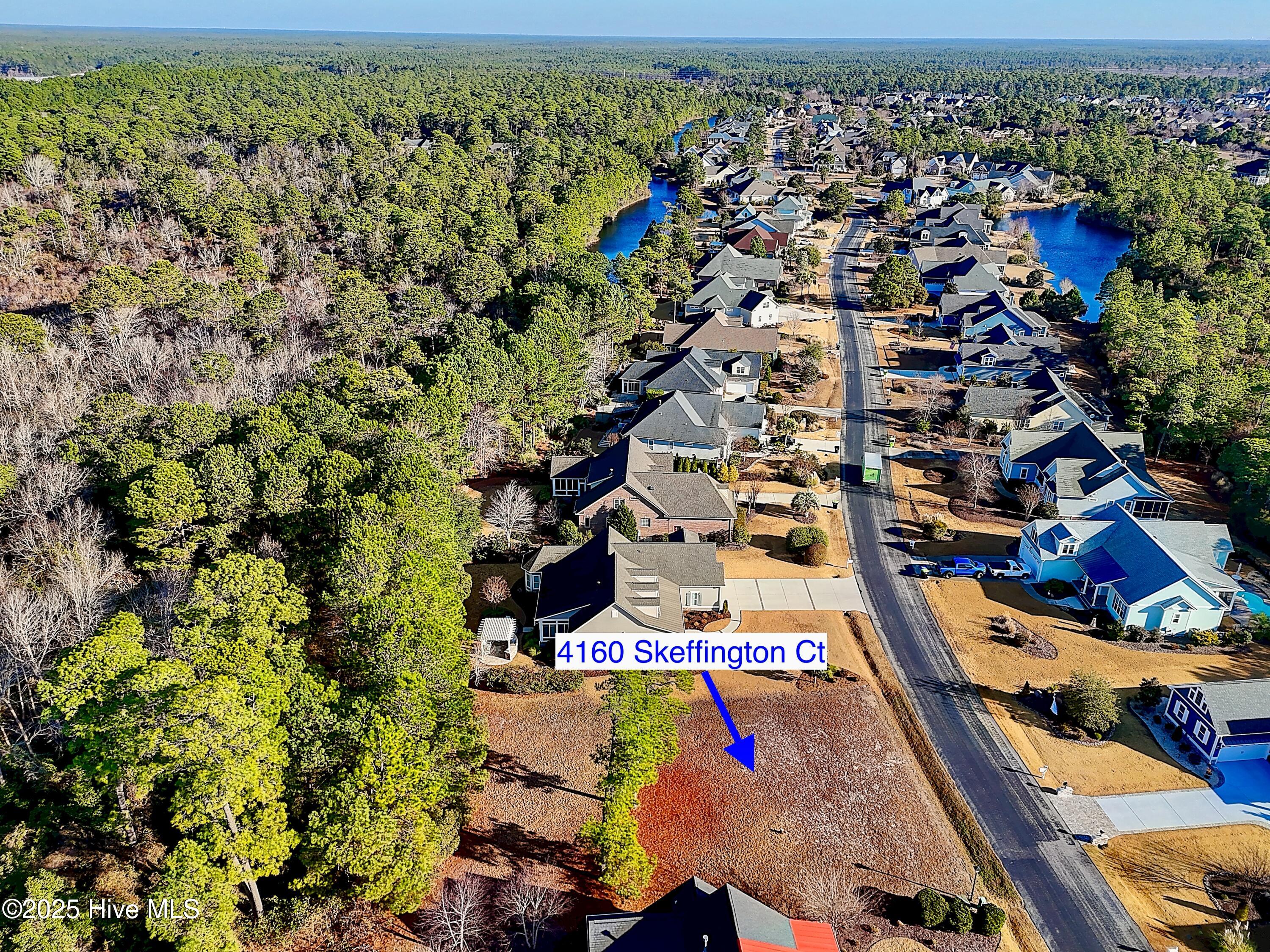 100546693 | Photo 10