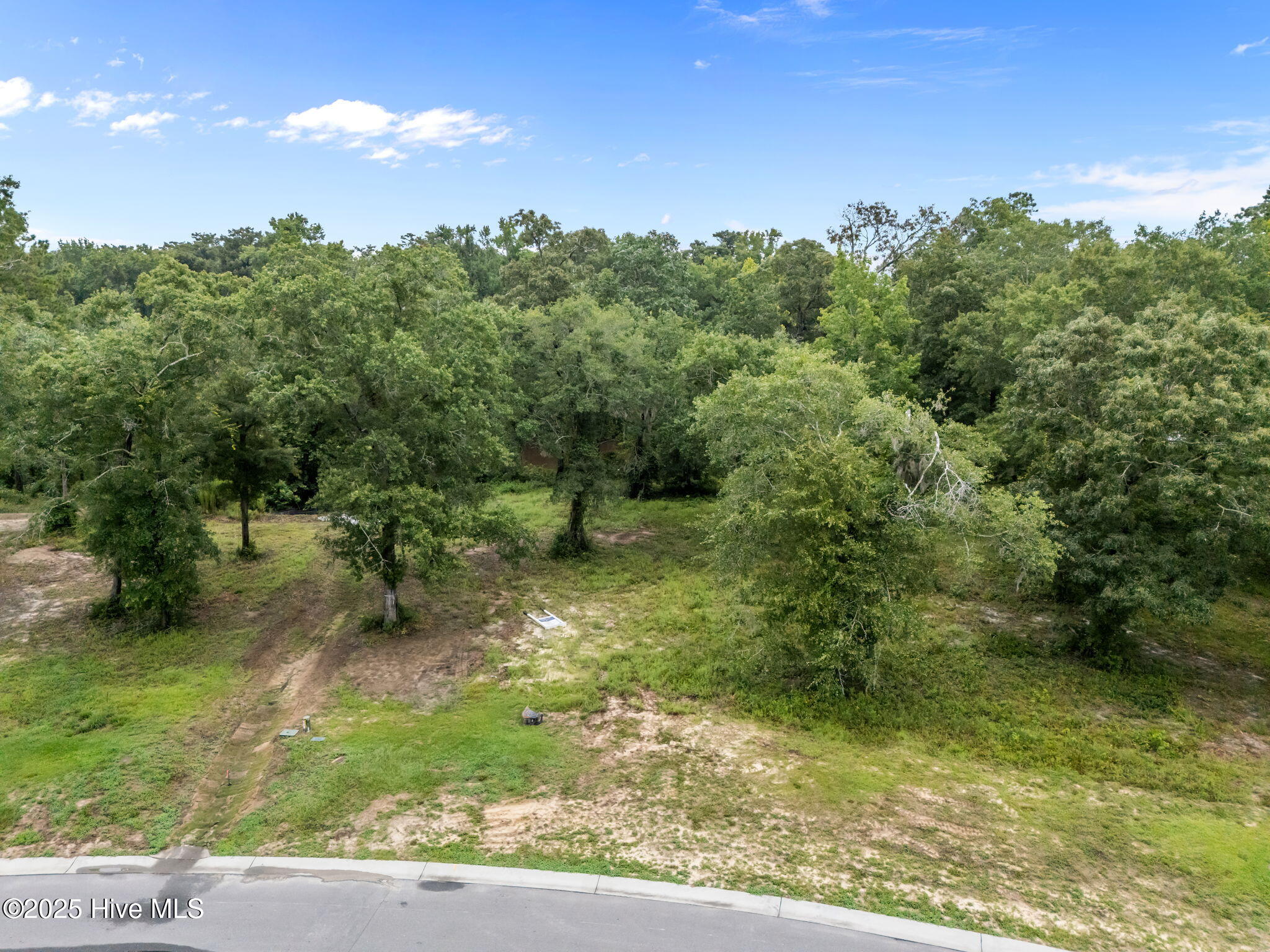 100523217 | Photo 15