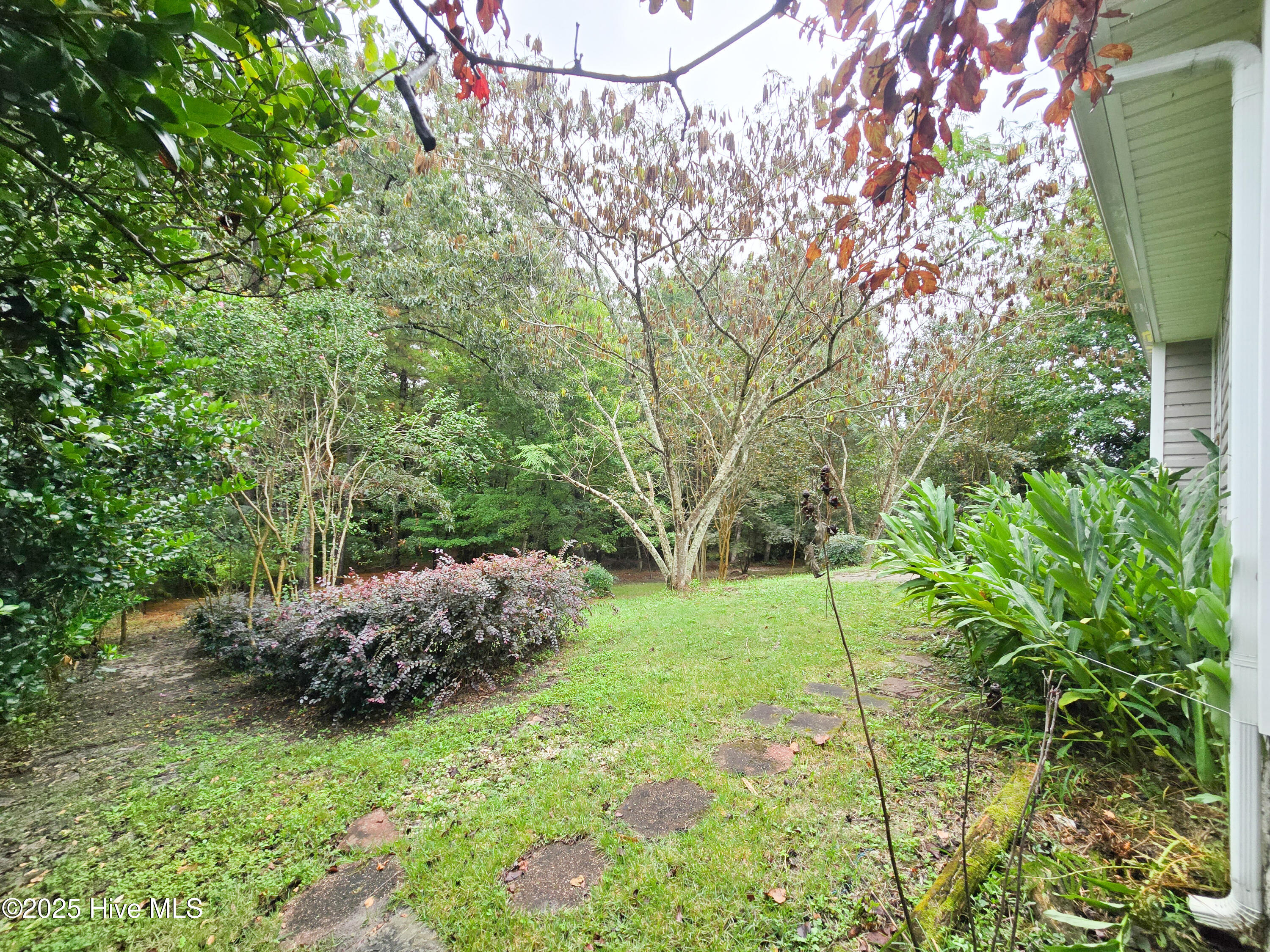 100533714 | Photo 35