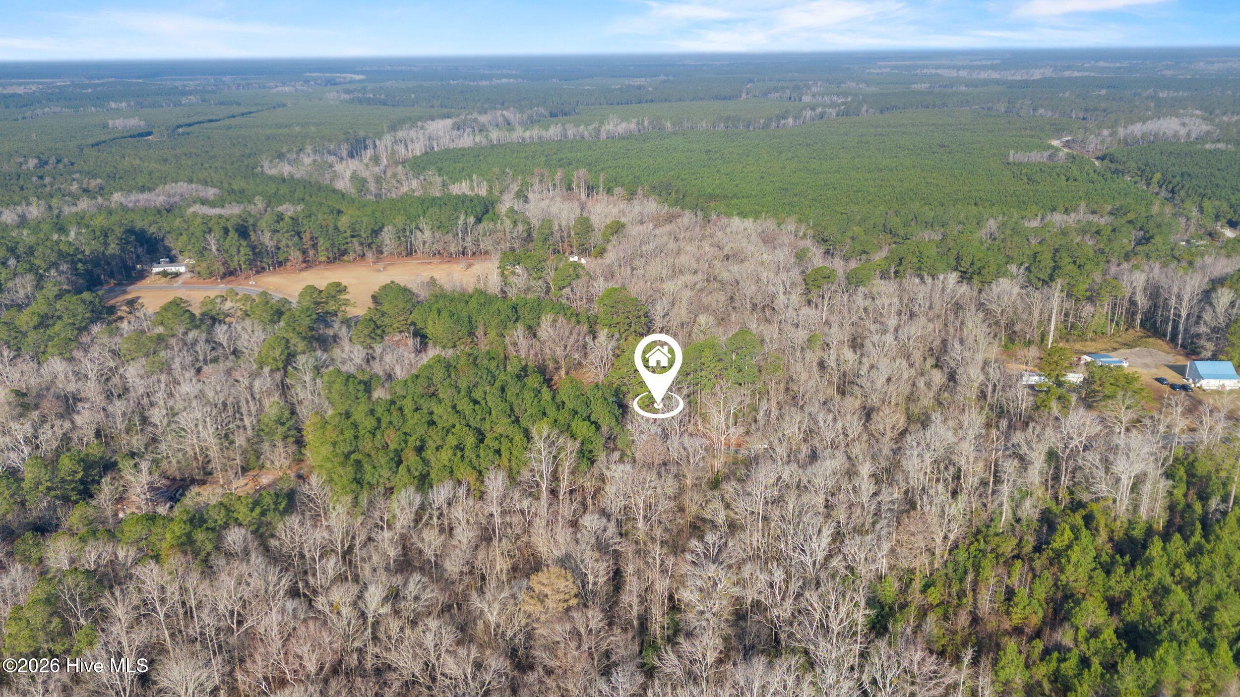 100553341 | Photo 39