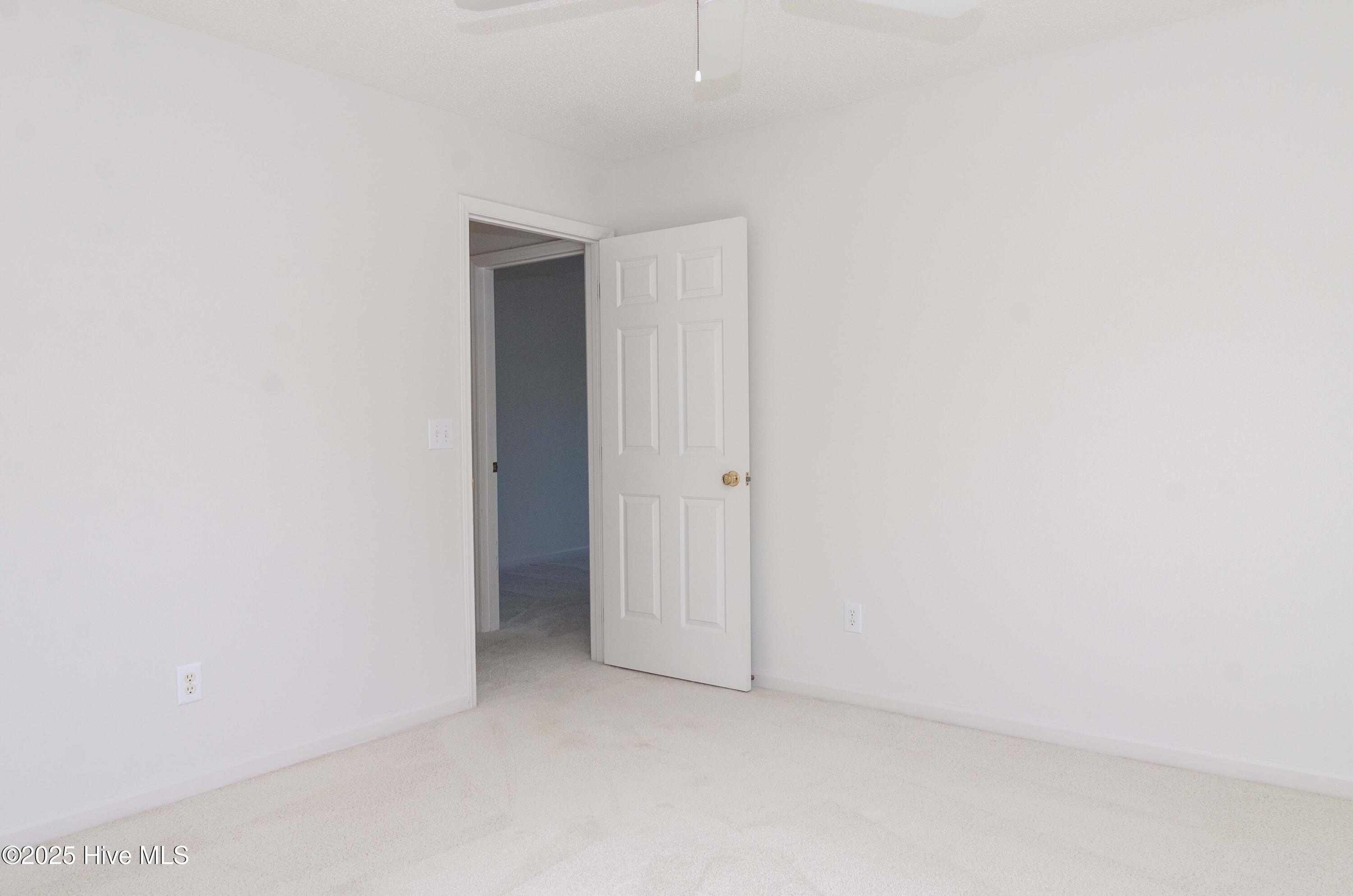 100563039 | Photo 21