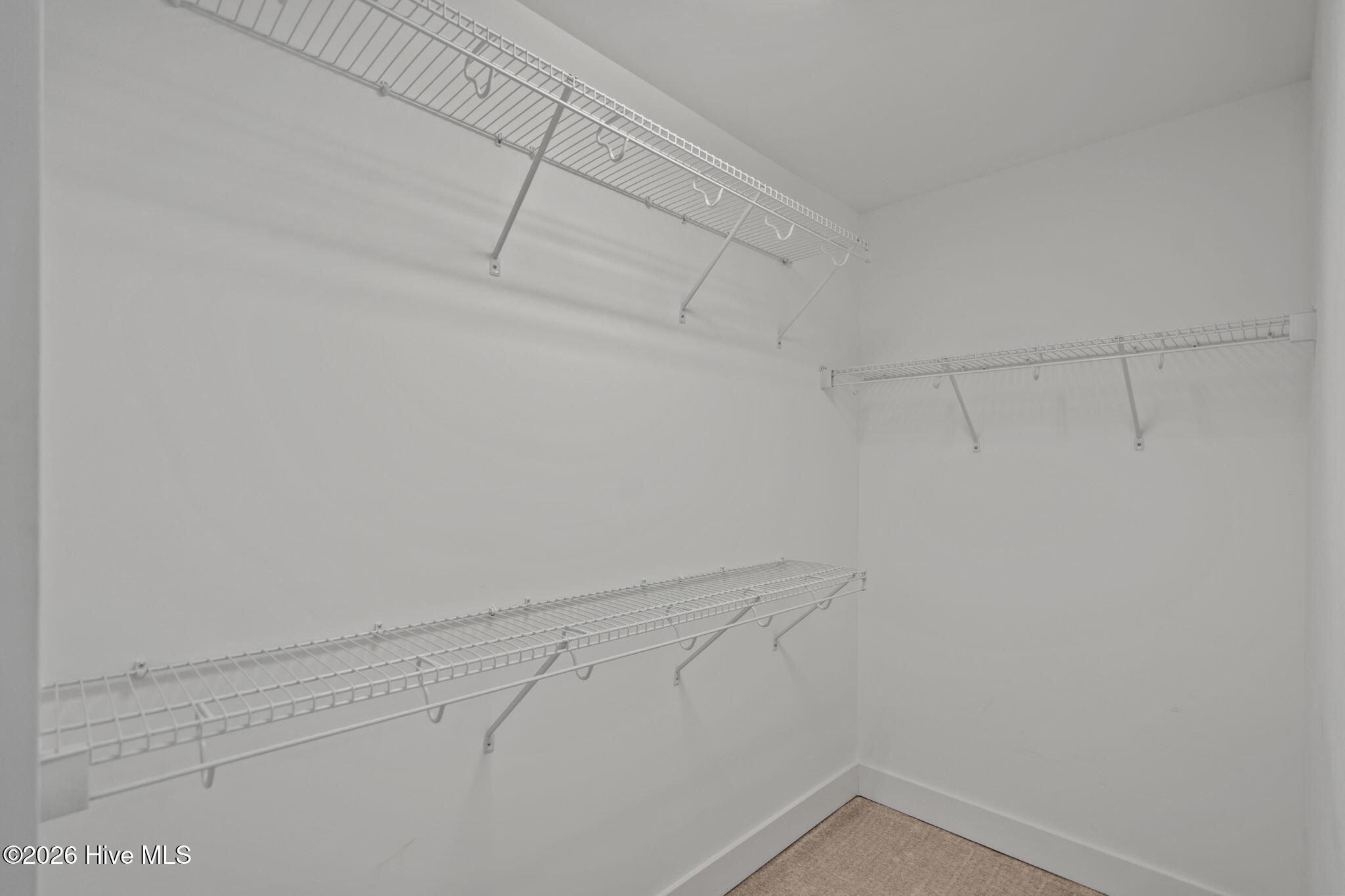 100559197 | Photo 38