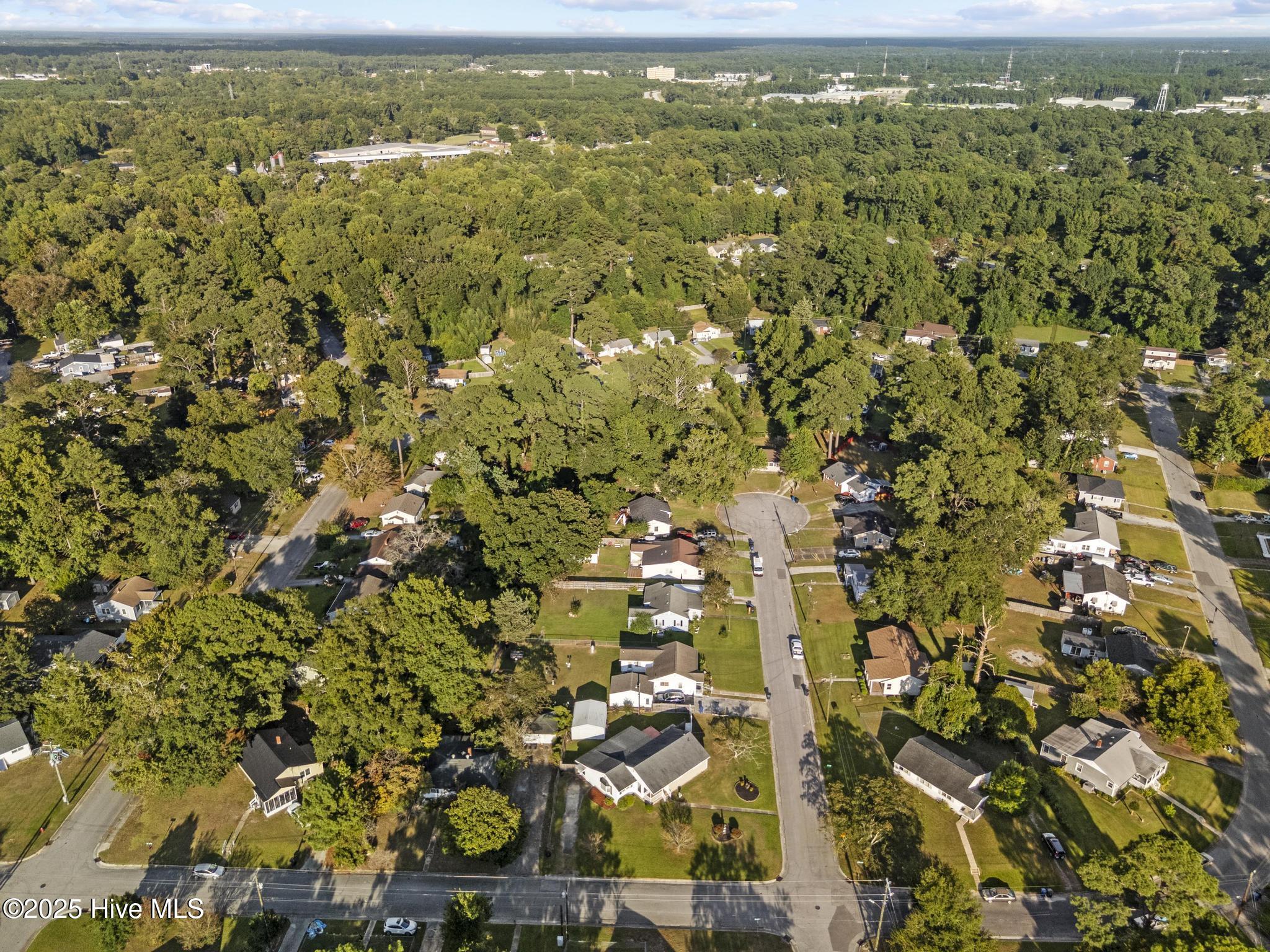 100532196 | Photo 47