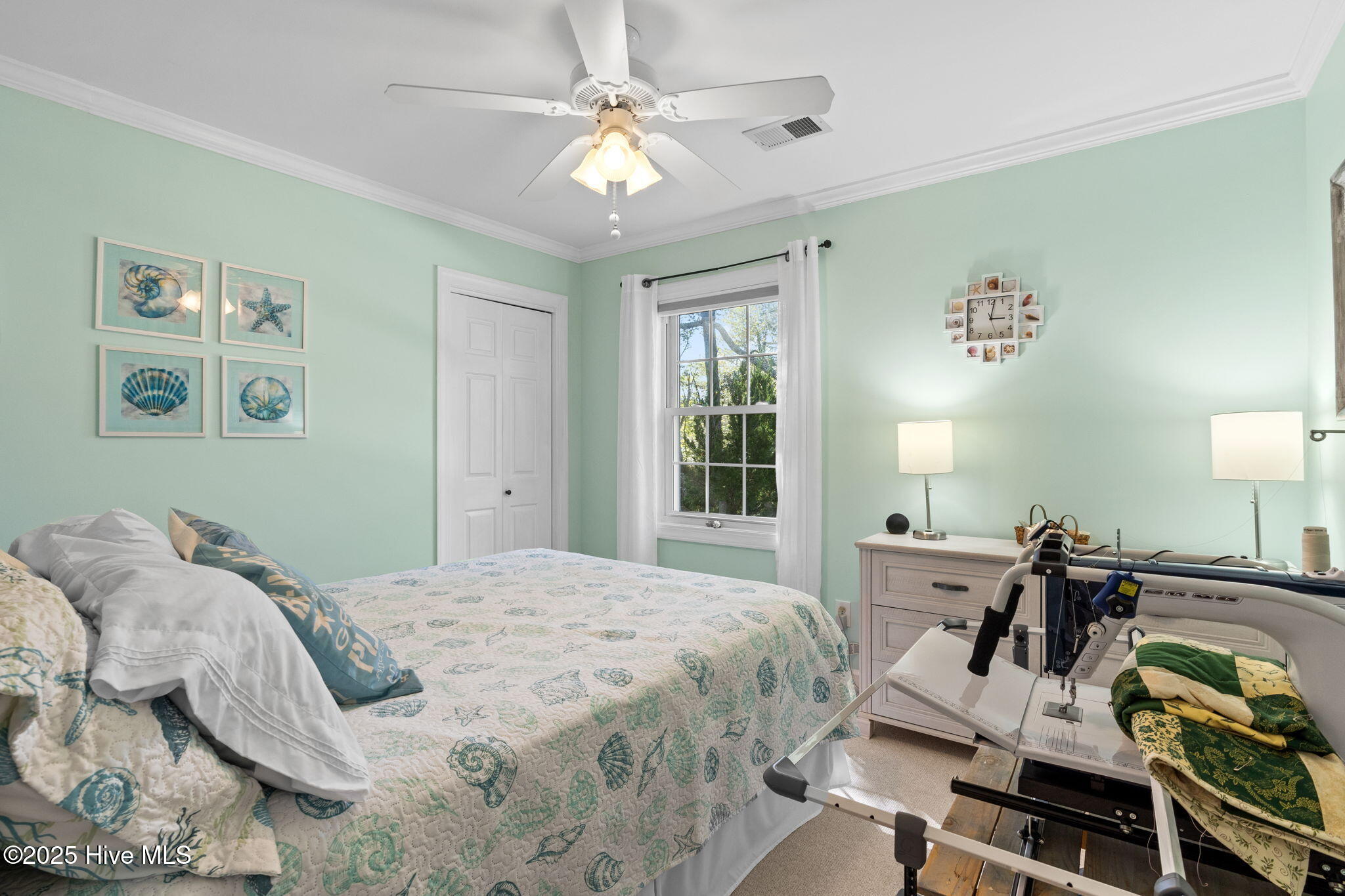 100537506 | Photo 43