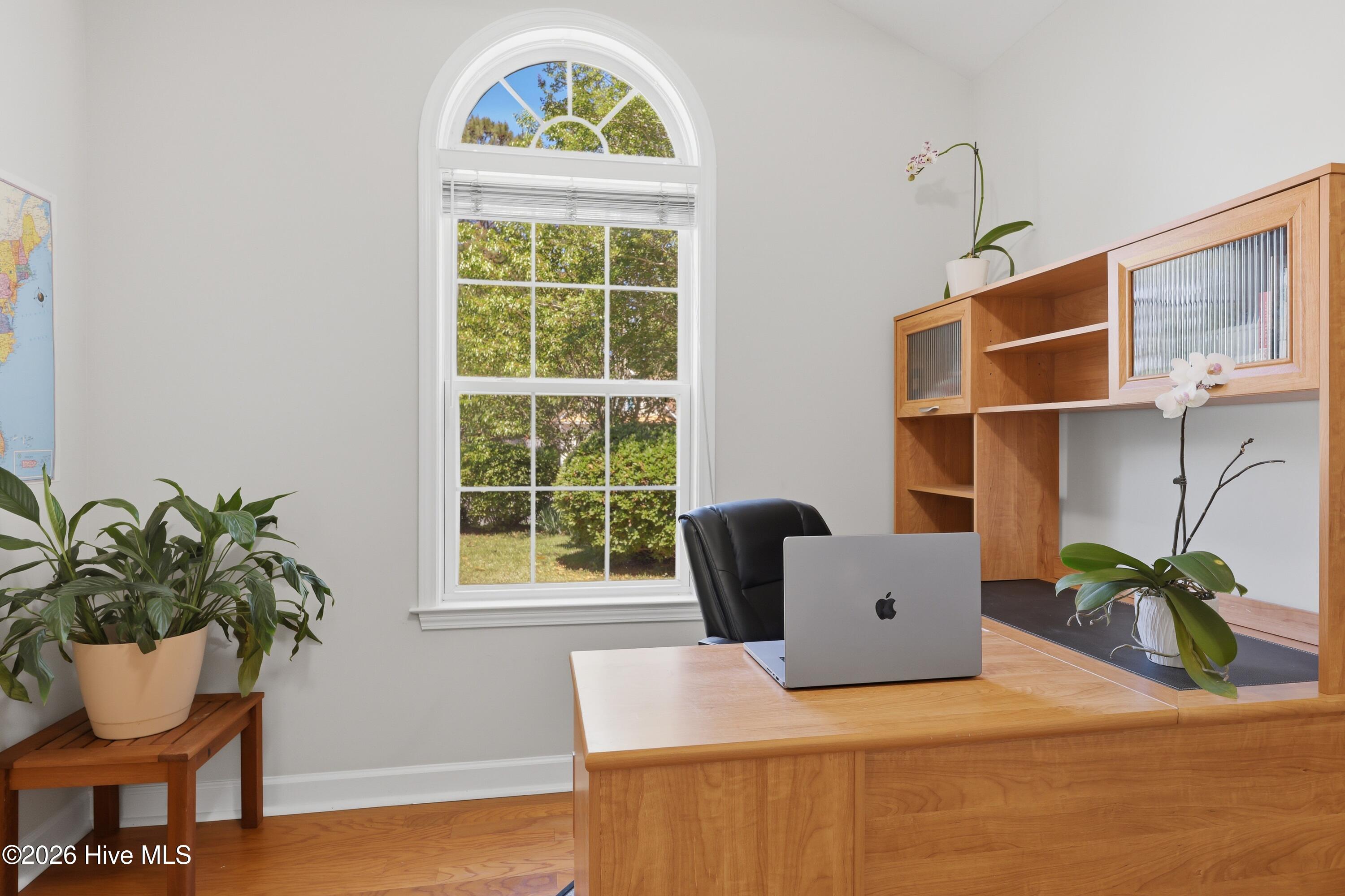 100568485 | Photo 33