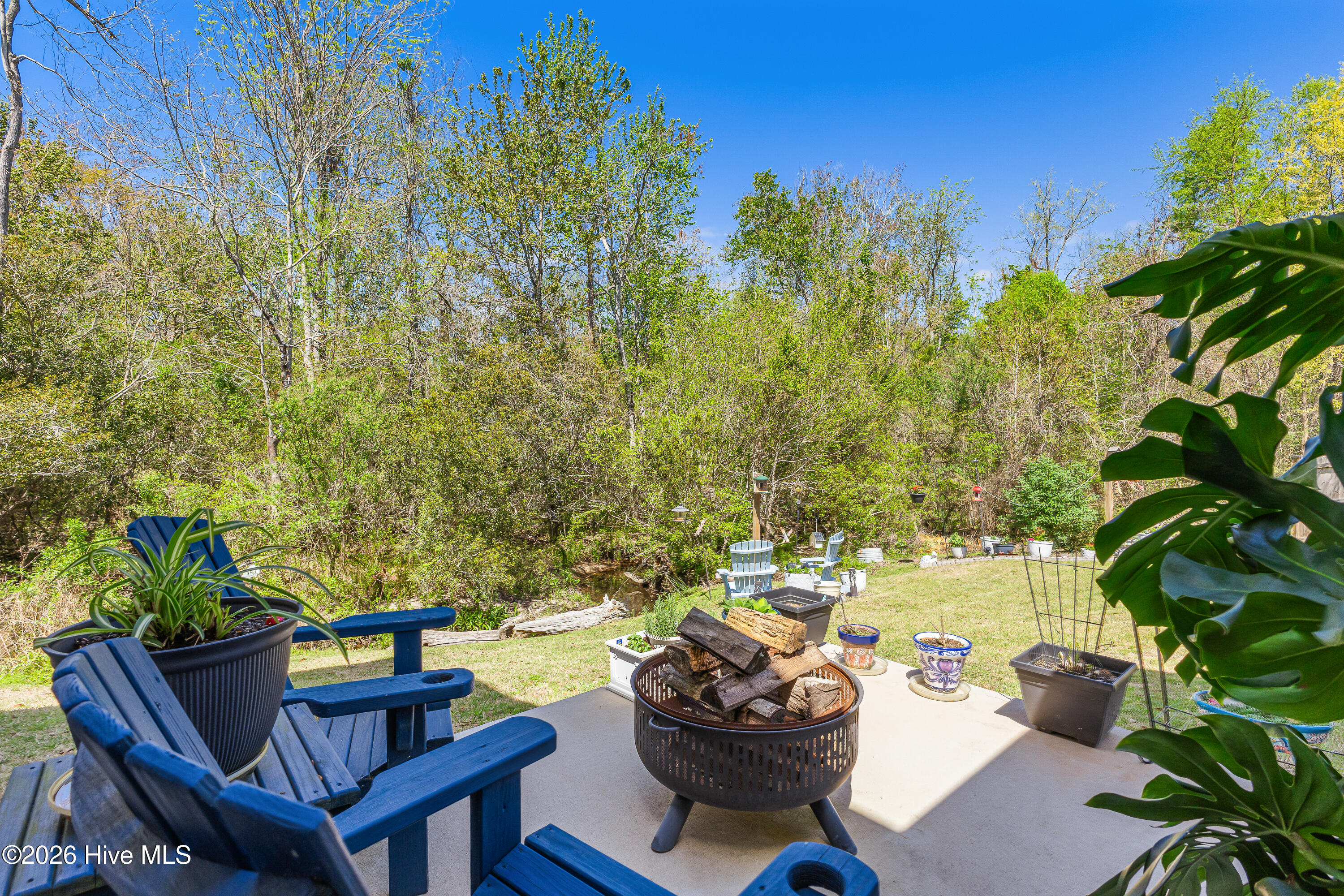 100565861 | Photo 59