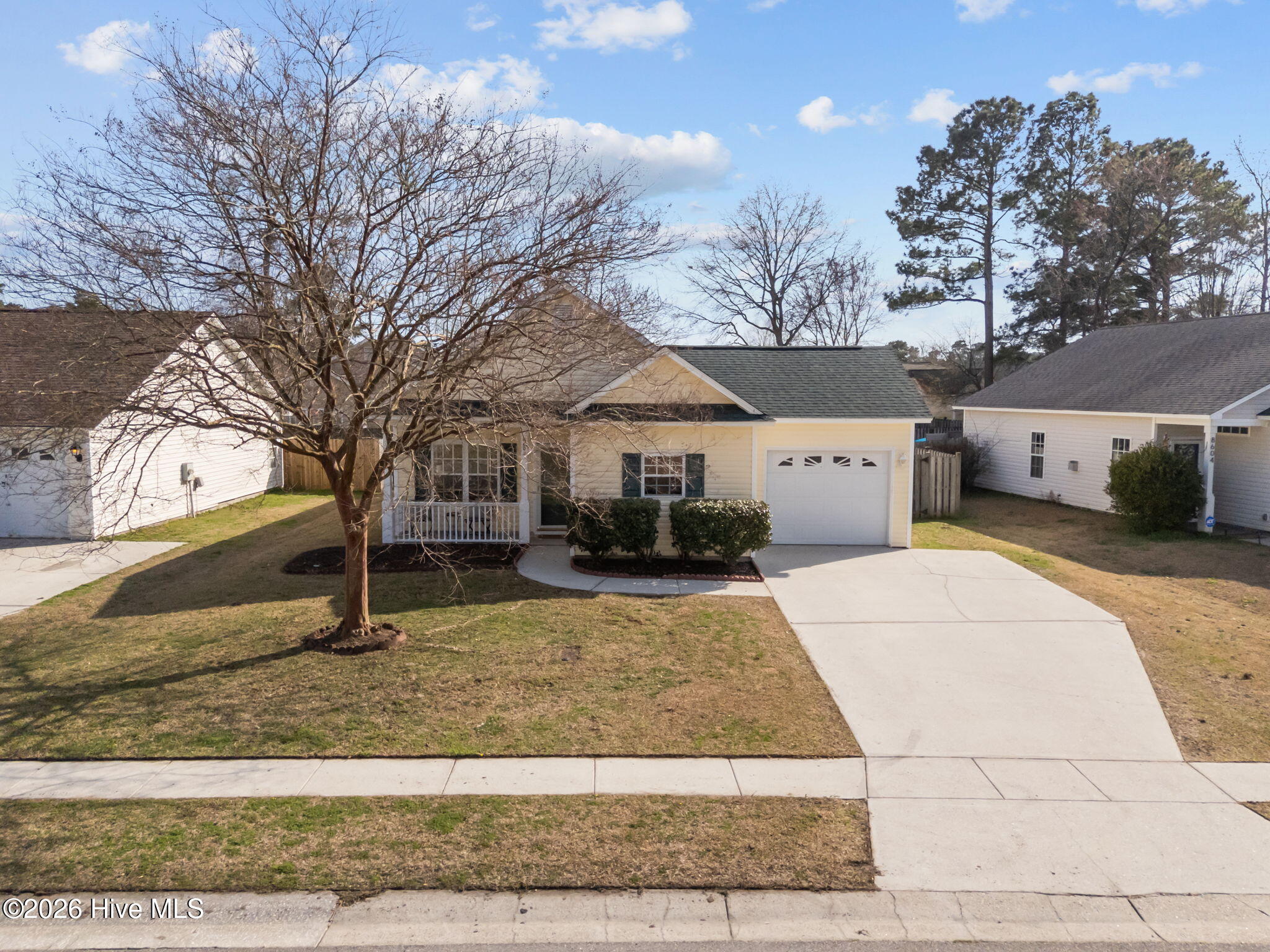 100557931 | Photo 28