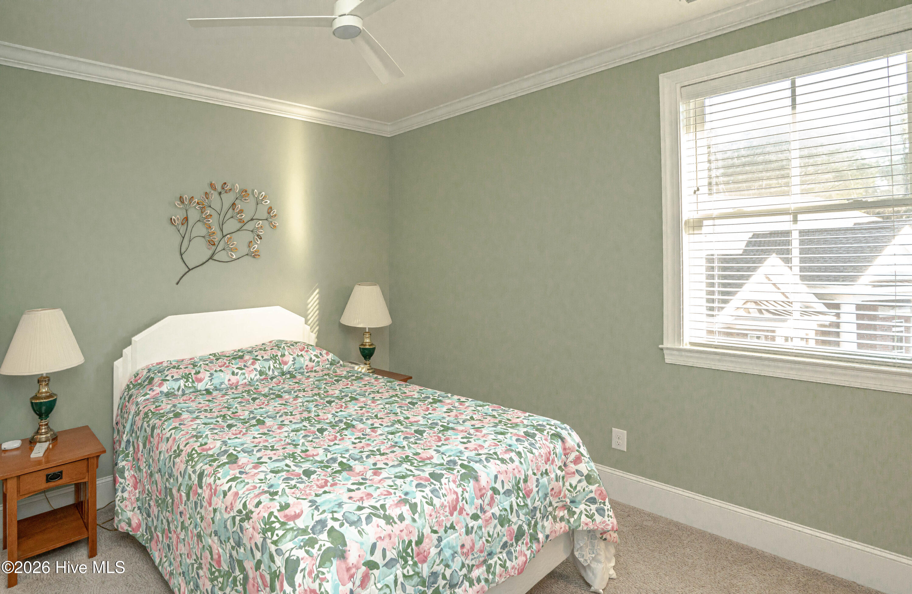 100550389 | Photo 56