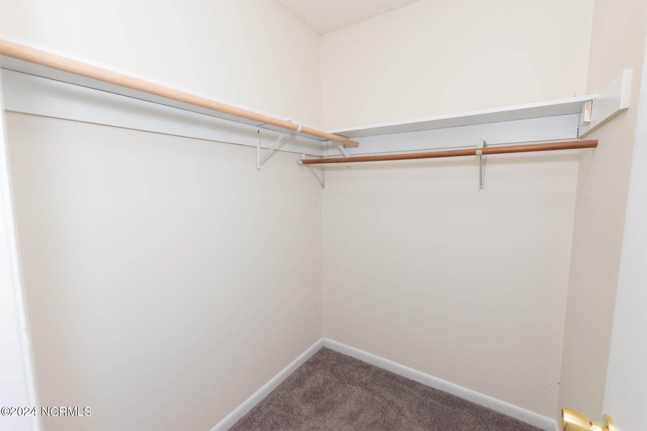 100528629 | Photo 31