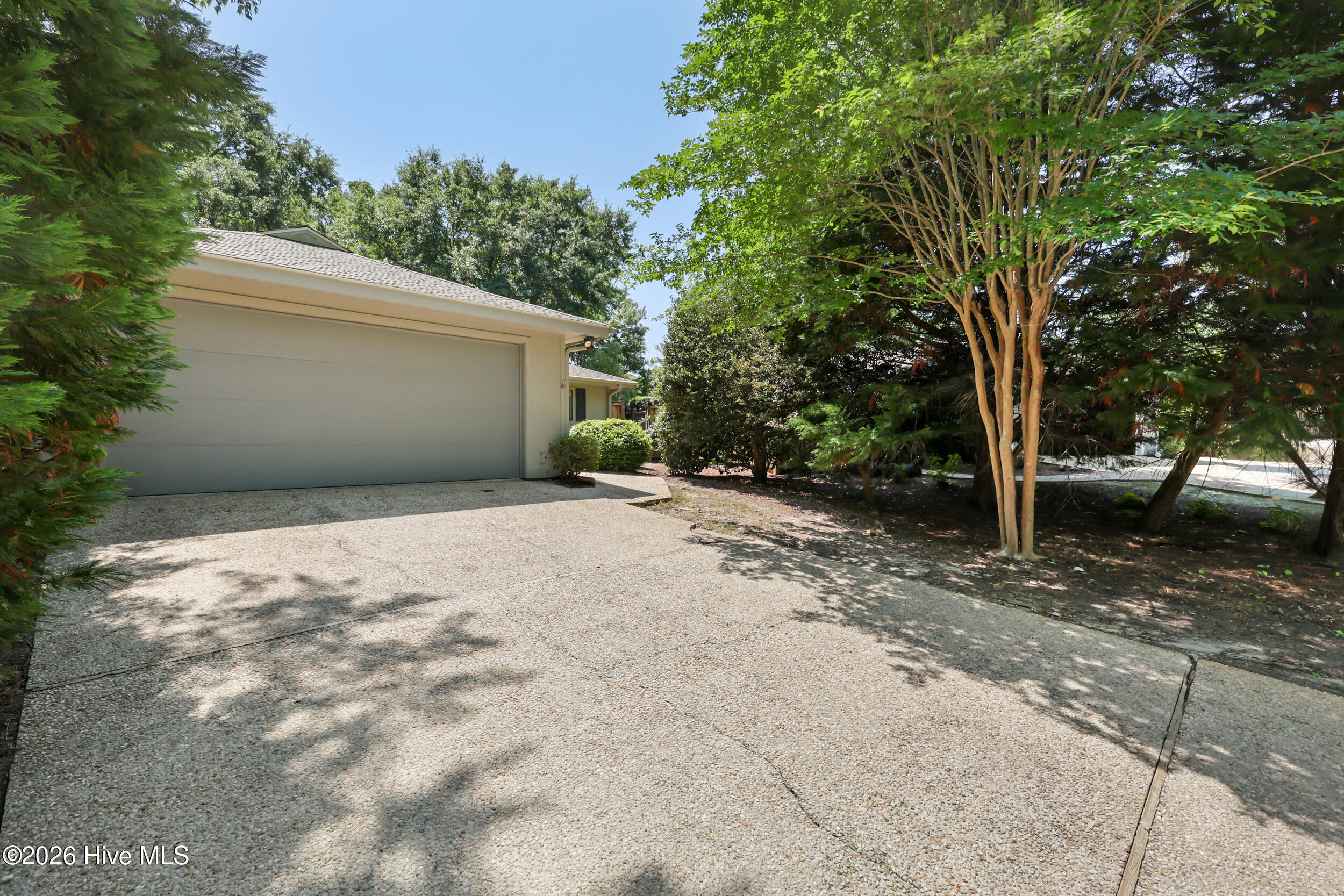 100569768 | Photo 12