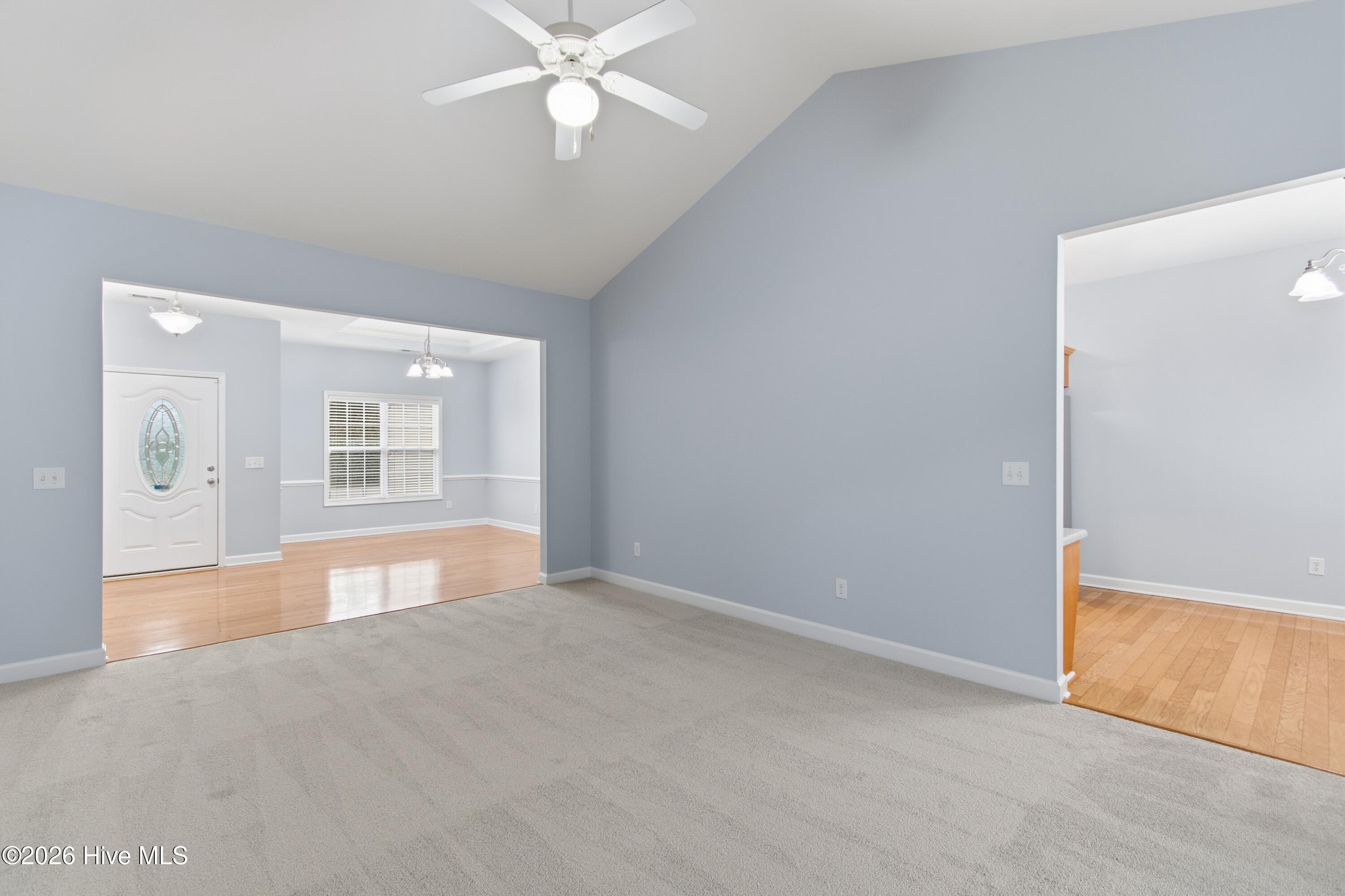 100555748 | Photo 16