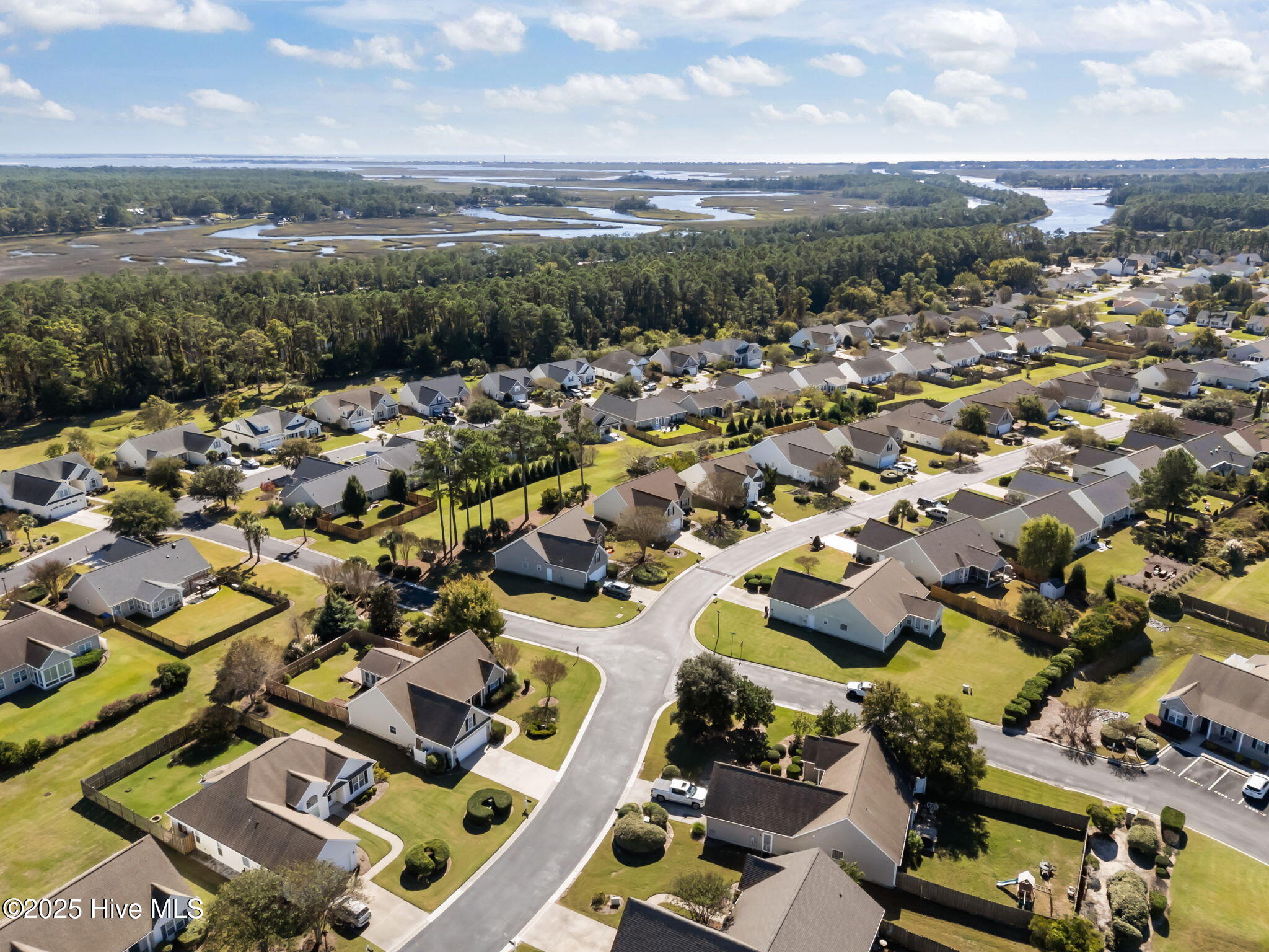 100537939 | Photo 52