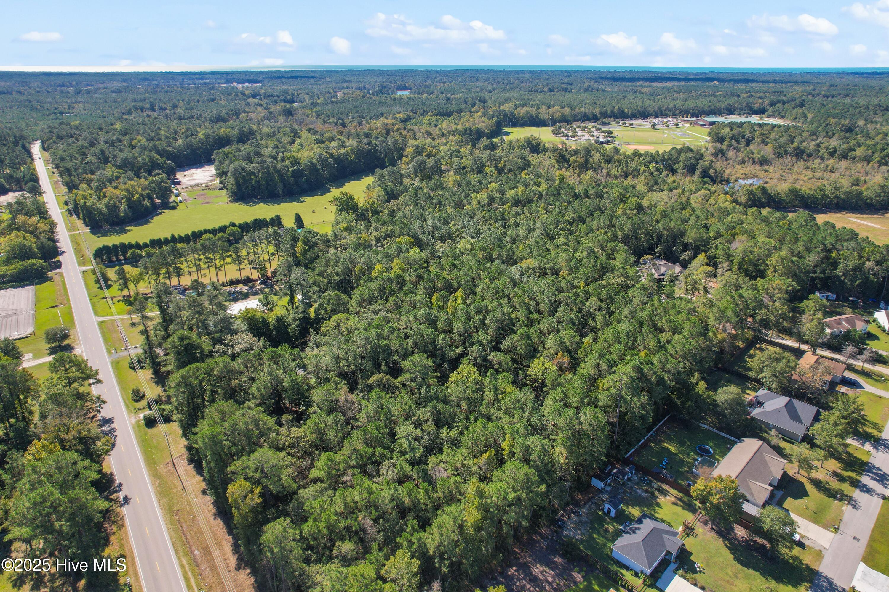 100538824 | Photo 15