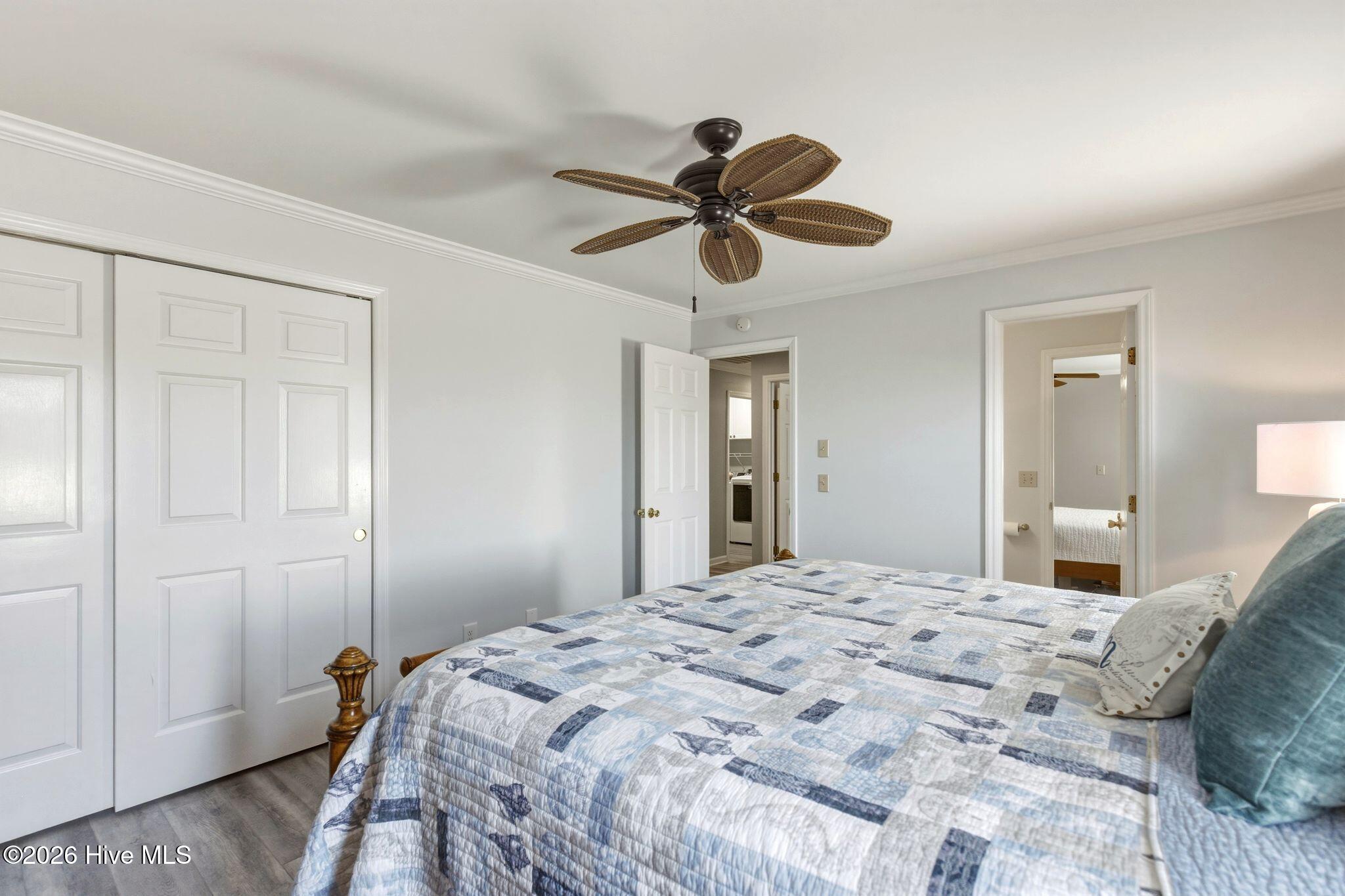 100539934 | Photo 40