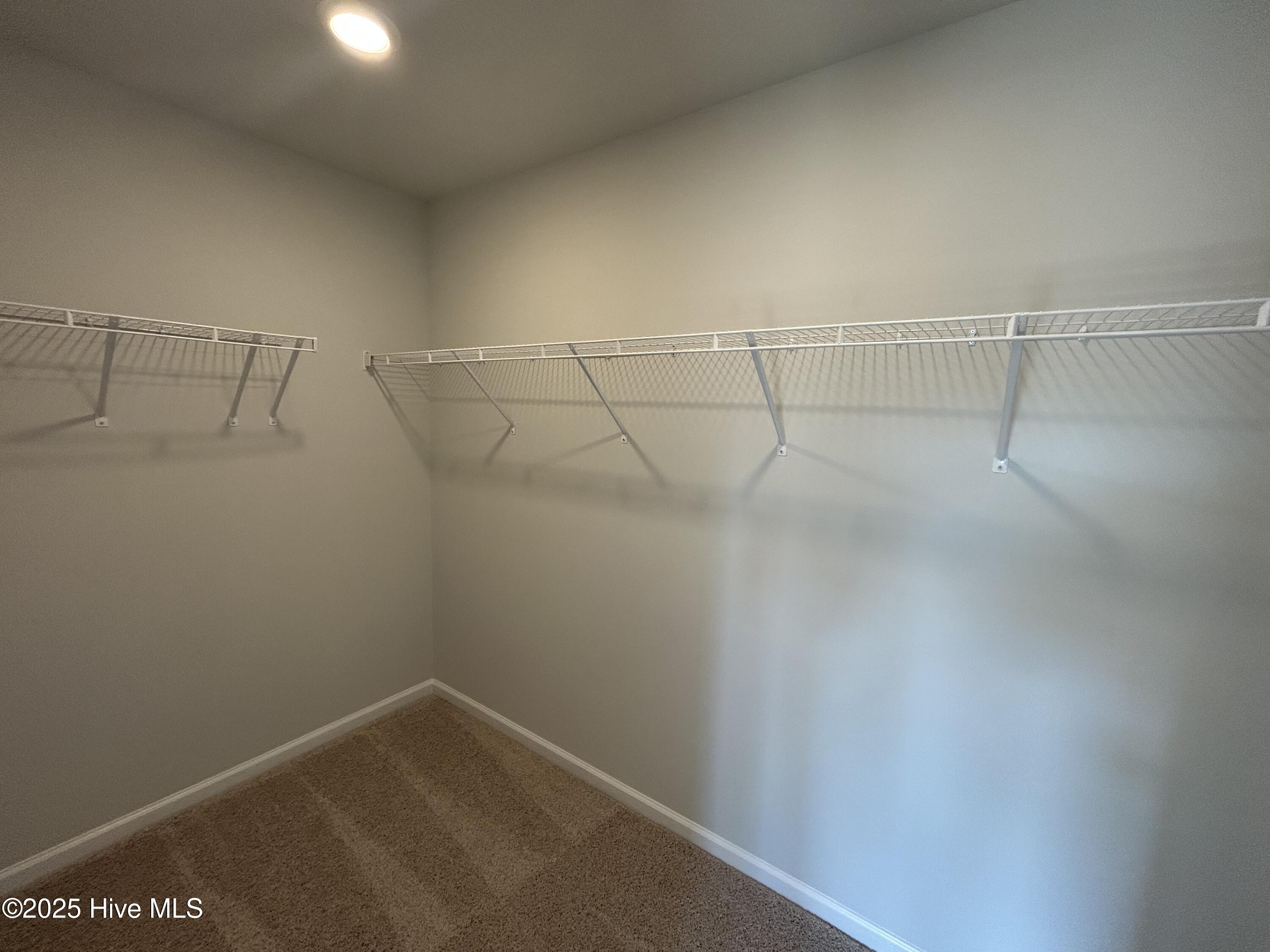 100513181 | Photo 18